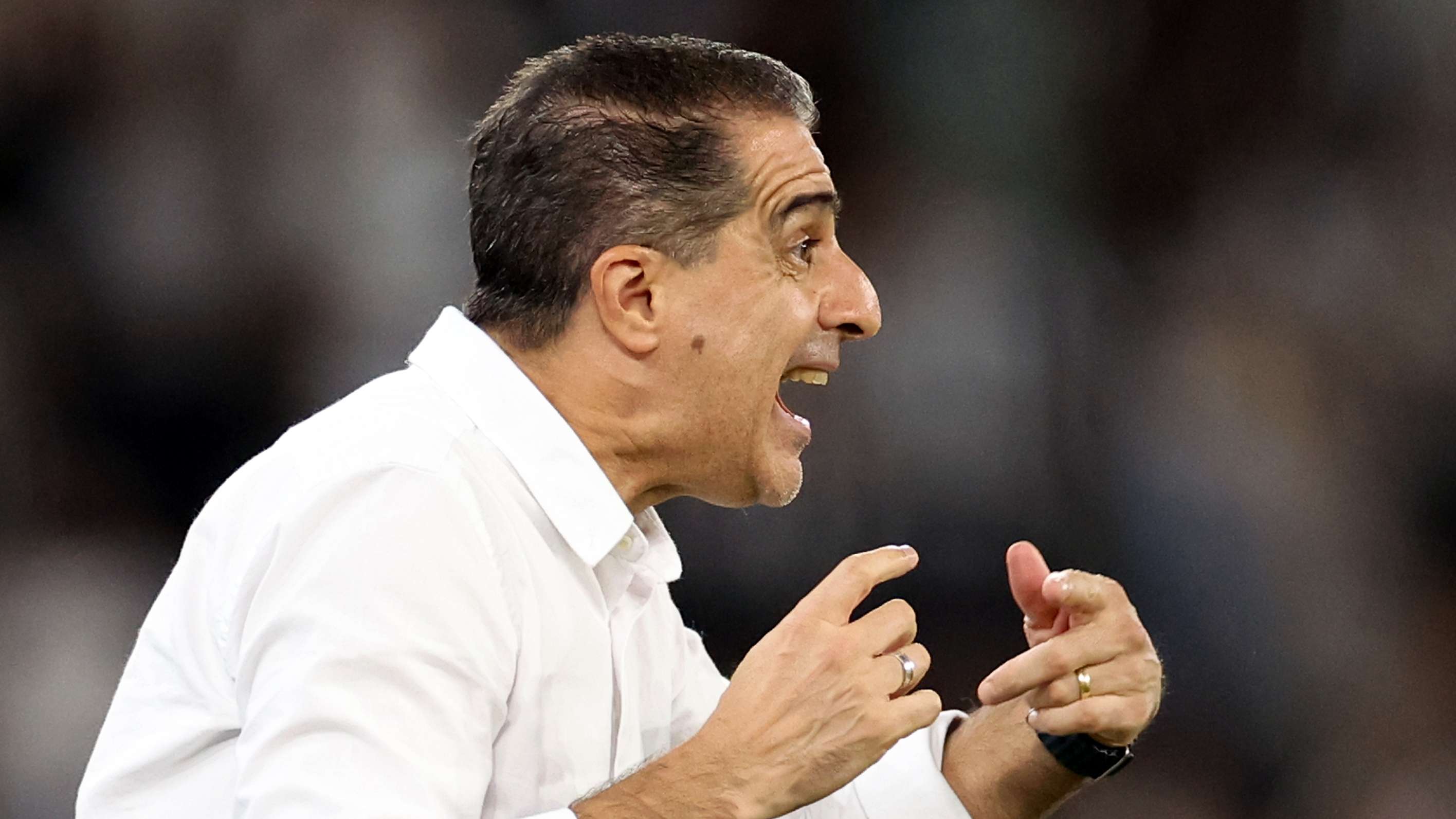 Renato Paiva Botafogo 2025