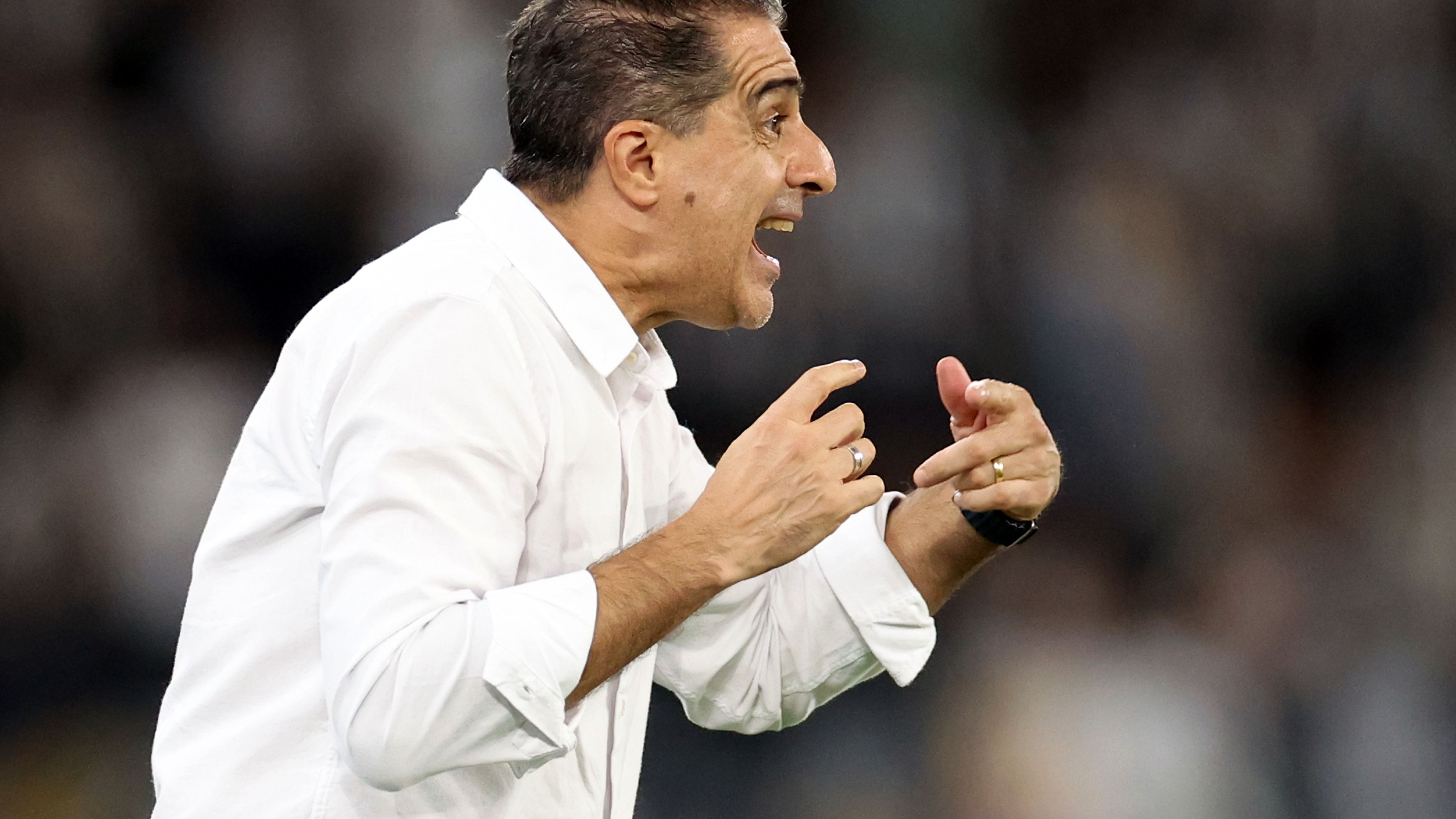 Renato Paiva Botafogo 2025