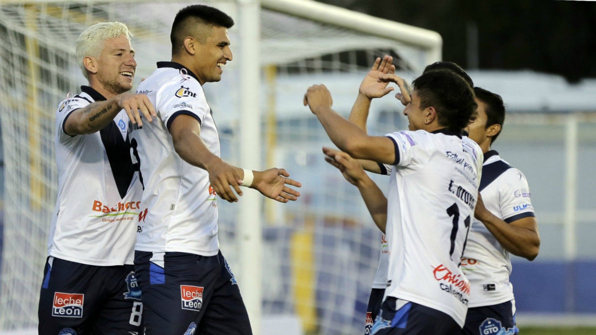 Celaya Liga de Expansión