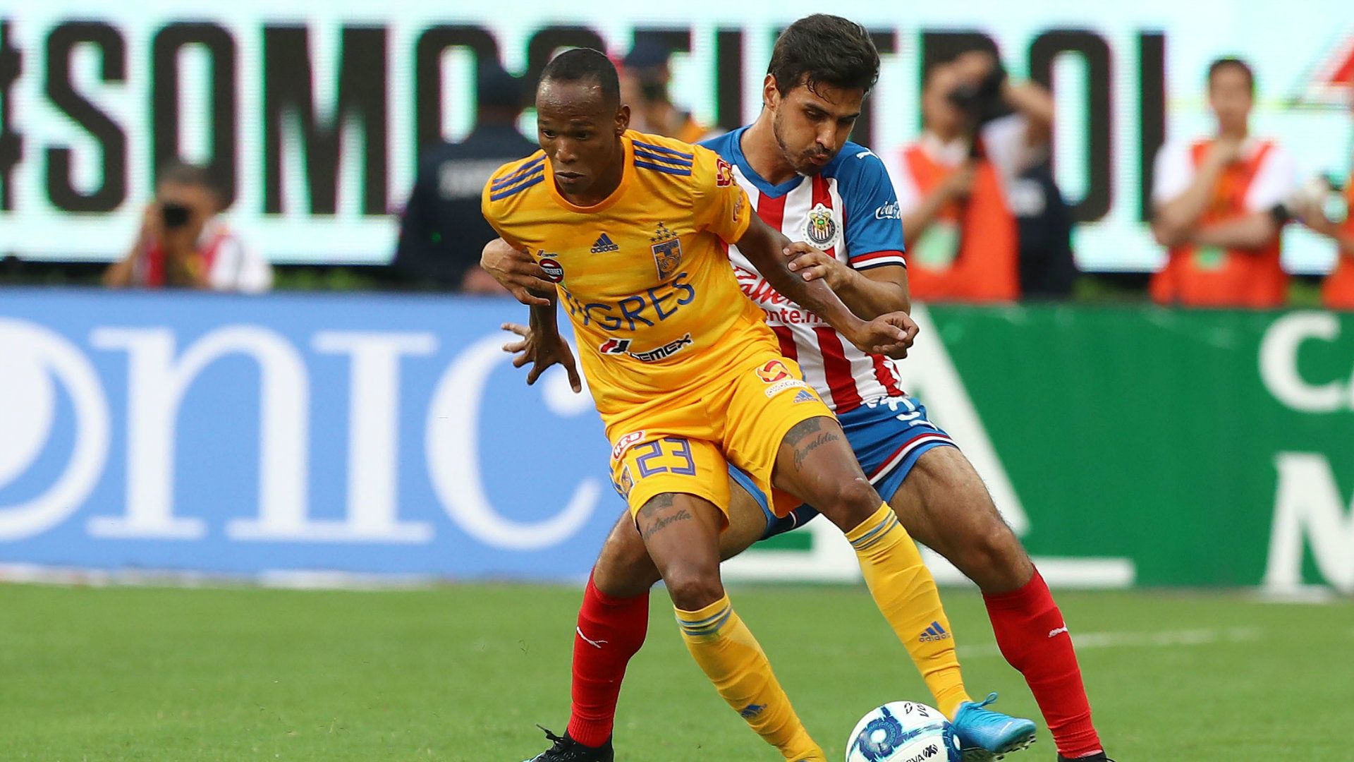 Chivas vs Tigres Apertura 2019