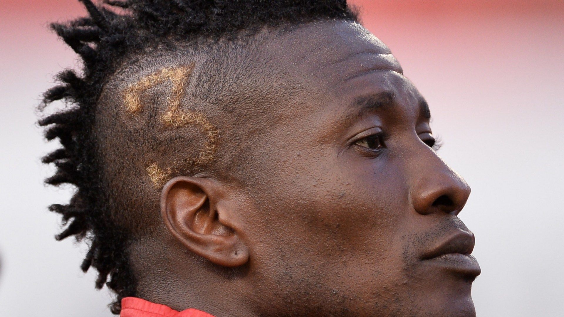 Asamoah Gyan 2014