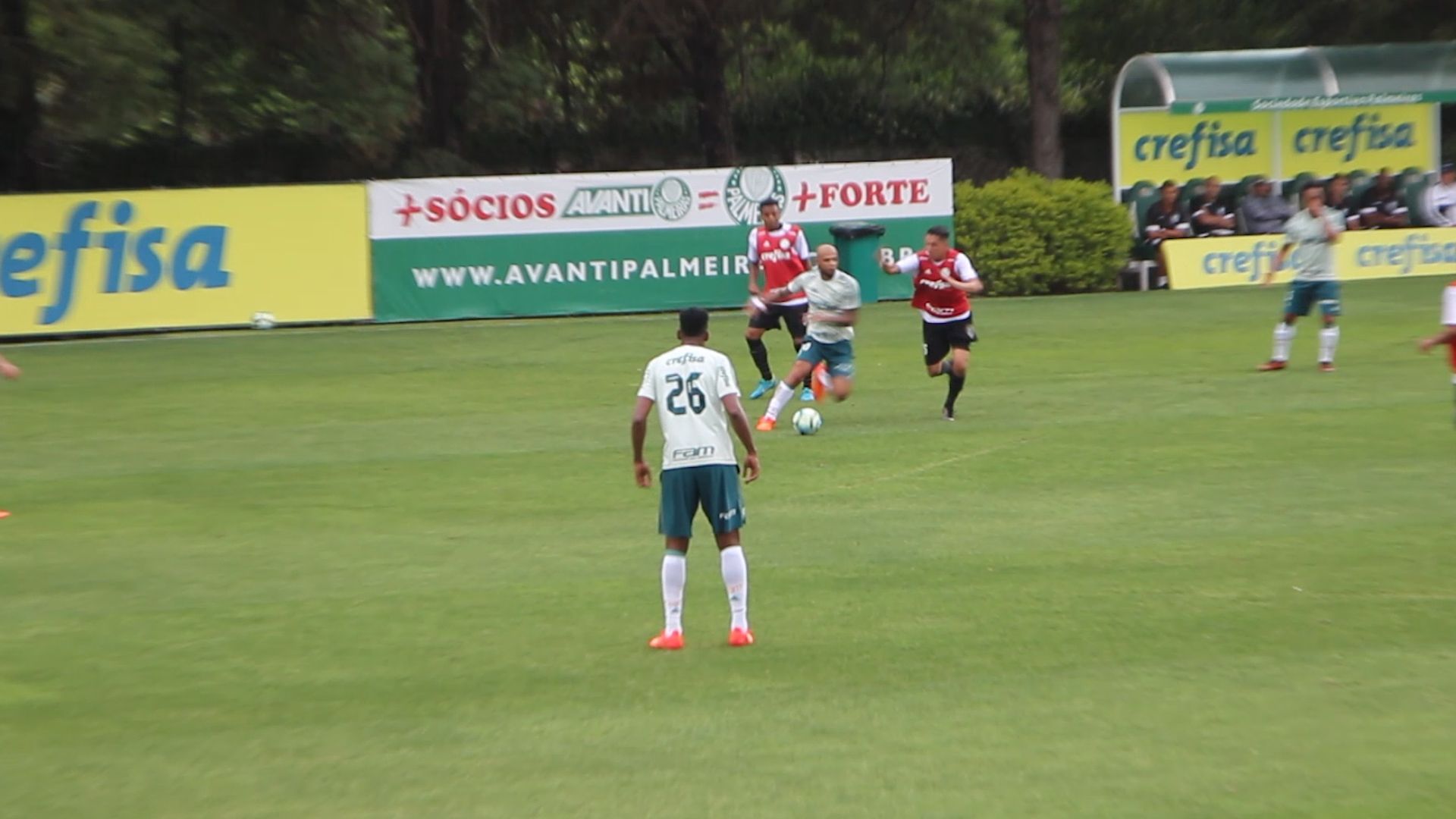 felipemelo_palmeiras
