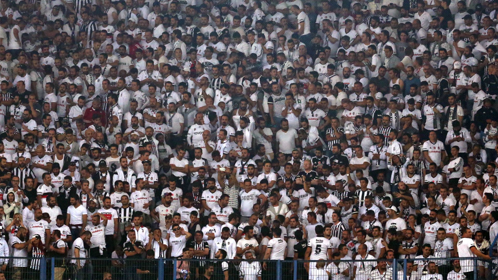 Besiktas Taraftar