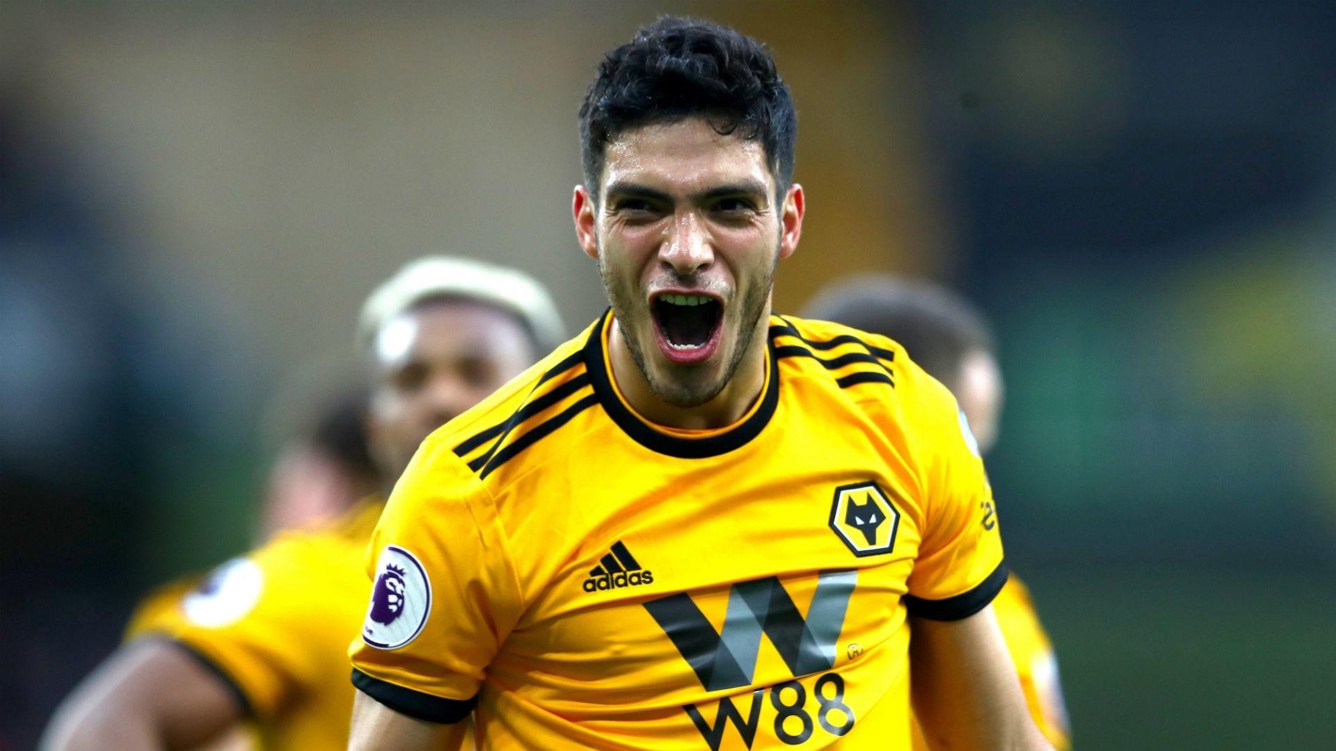 Raúl Jiménez Wolverhampton