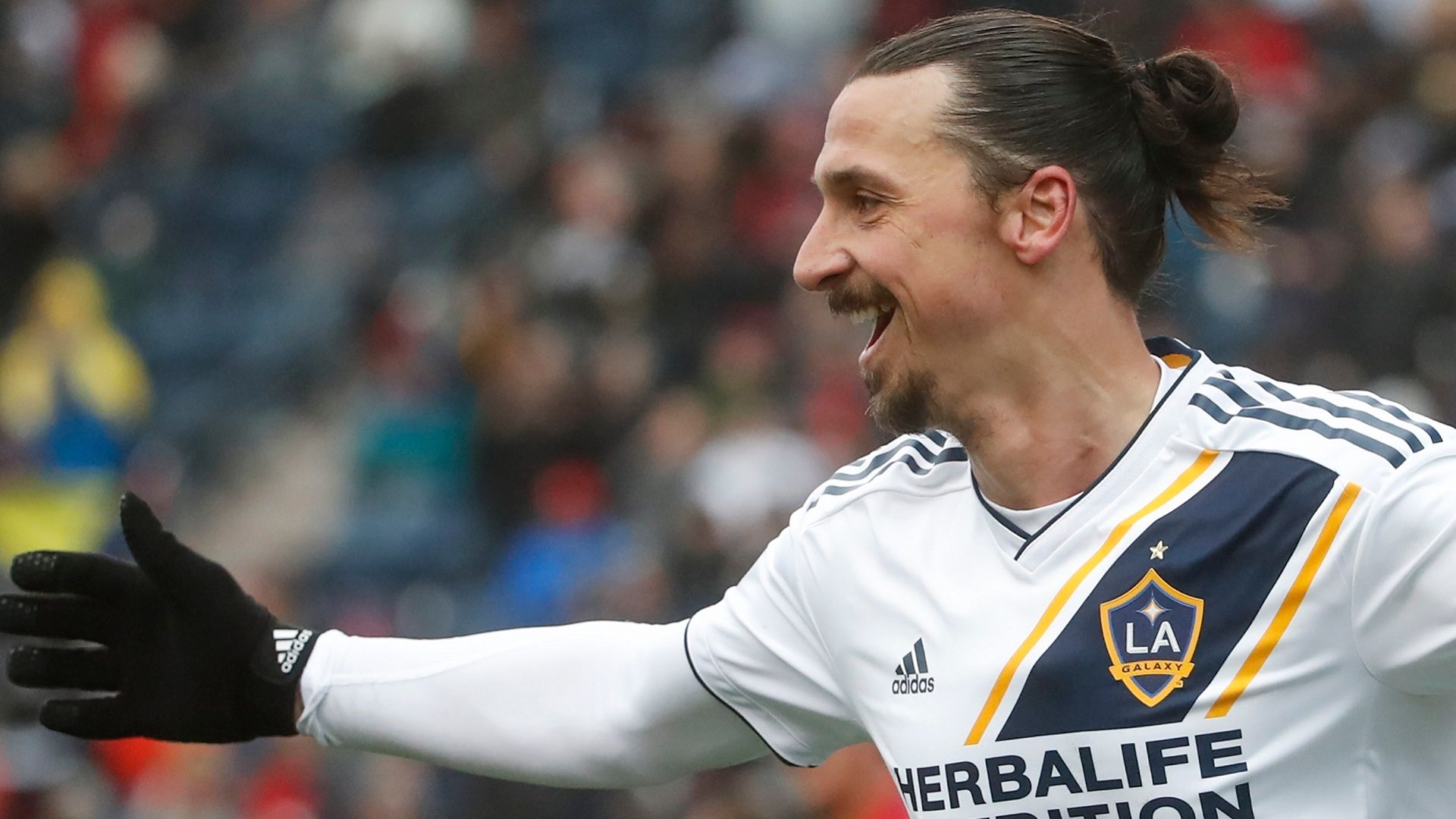 2018-04-15 Ibrahimovic