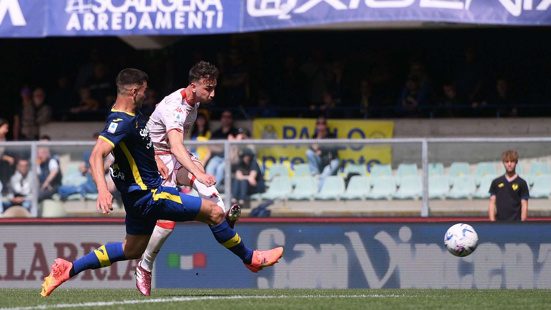 Gaetano Castrovilli Verona Fiorentina Serie A