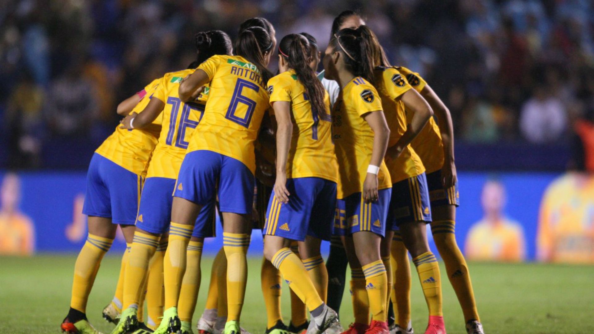 Tigres femenil