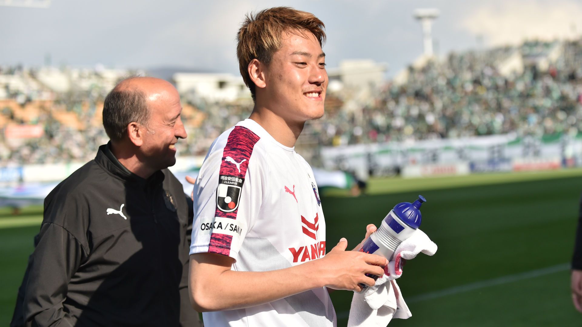 cerezo02.jpg