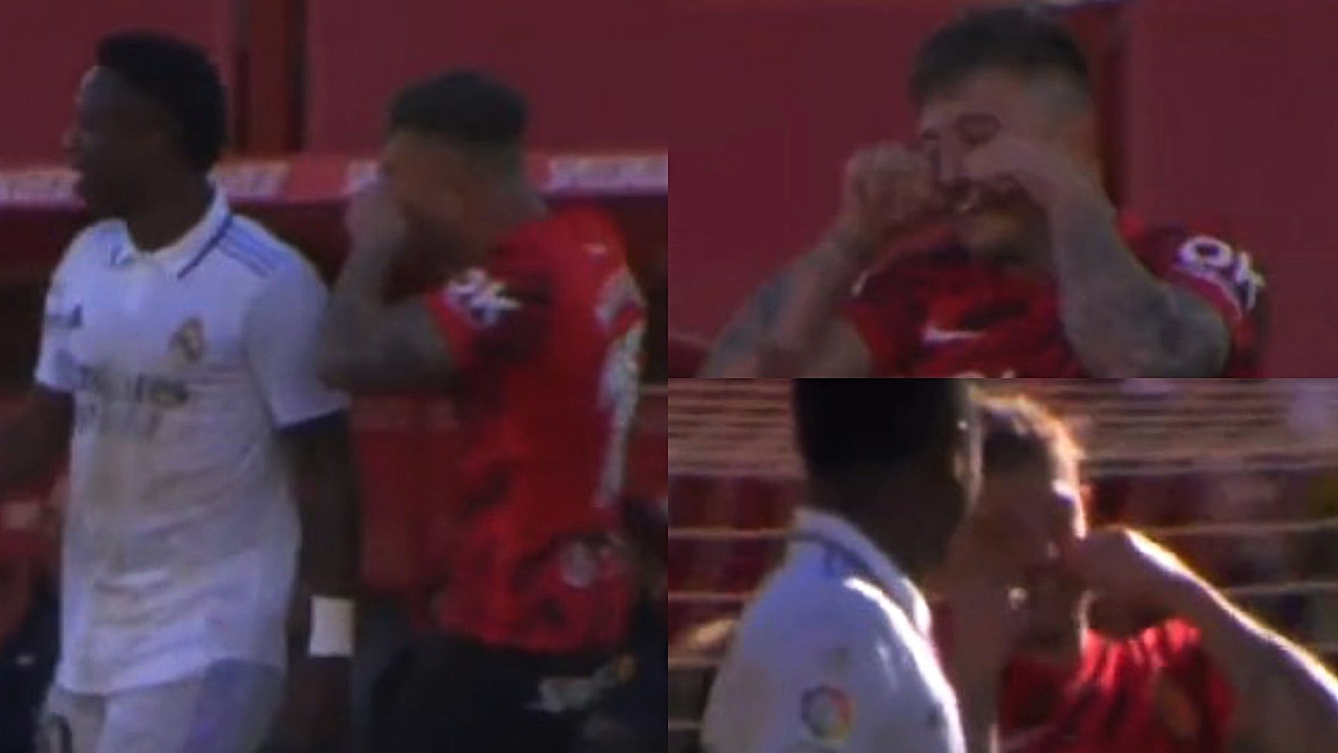 Mallorca Real Madrid Maffeo Vinicius