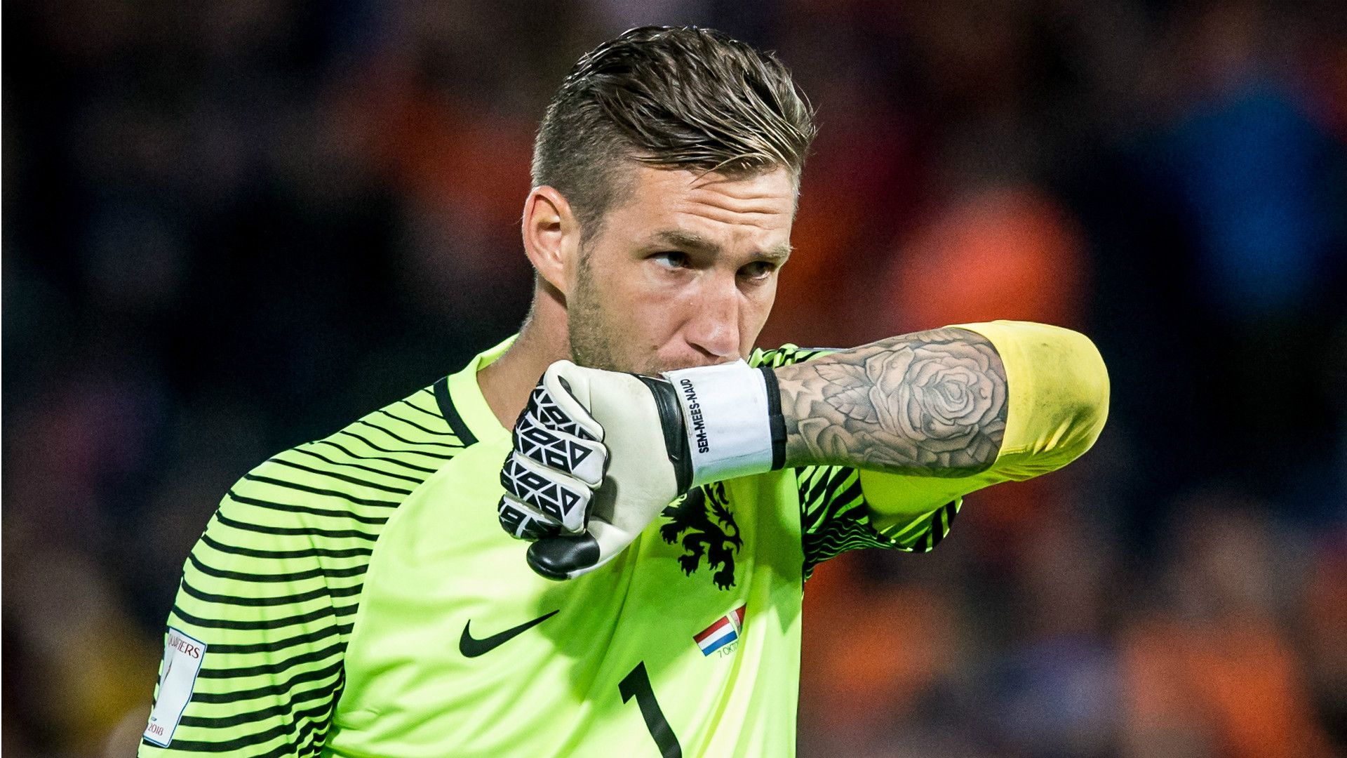 Maarten Stekelenburg, Netherlands