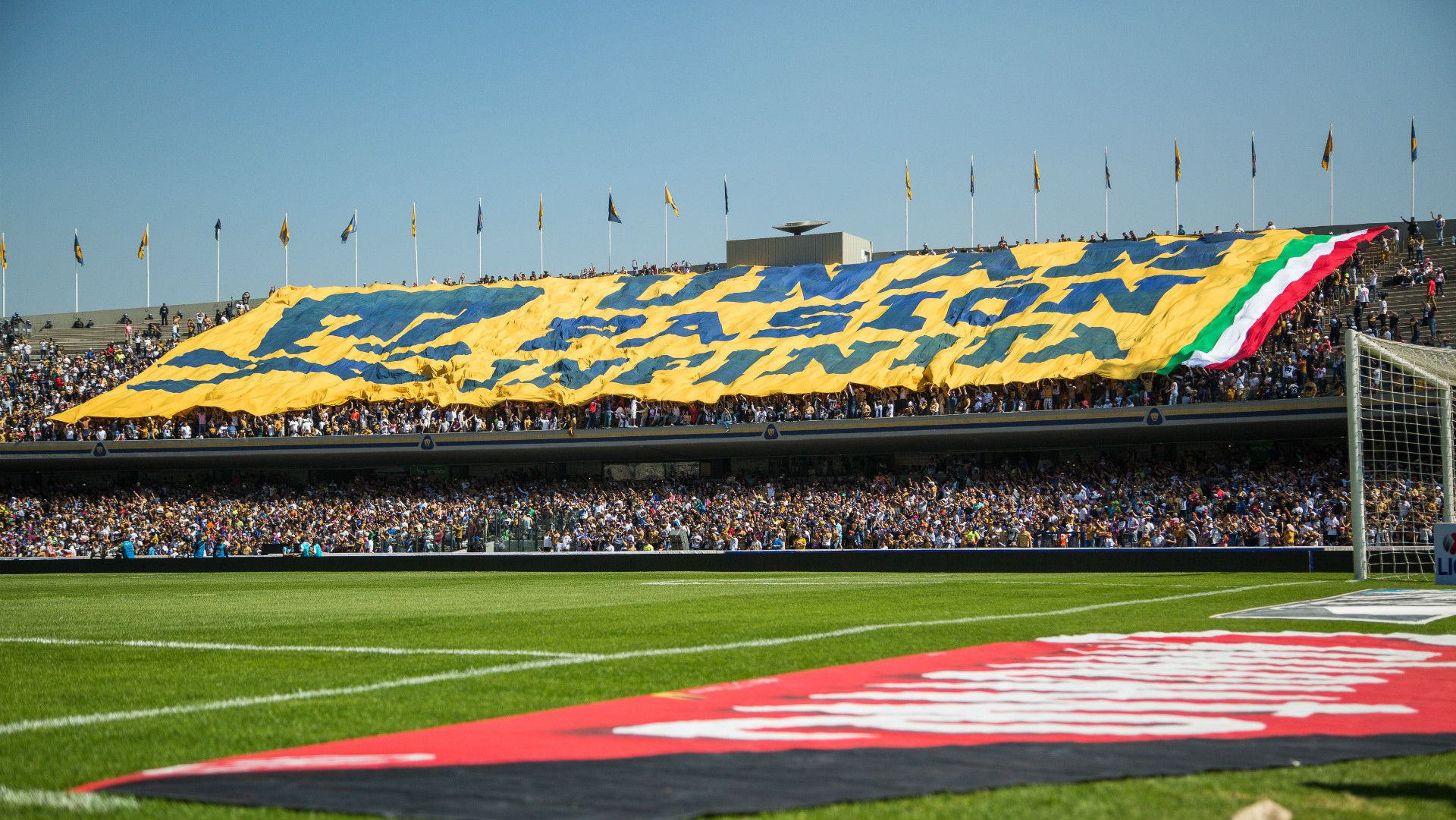 Pumas fans