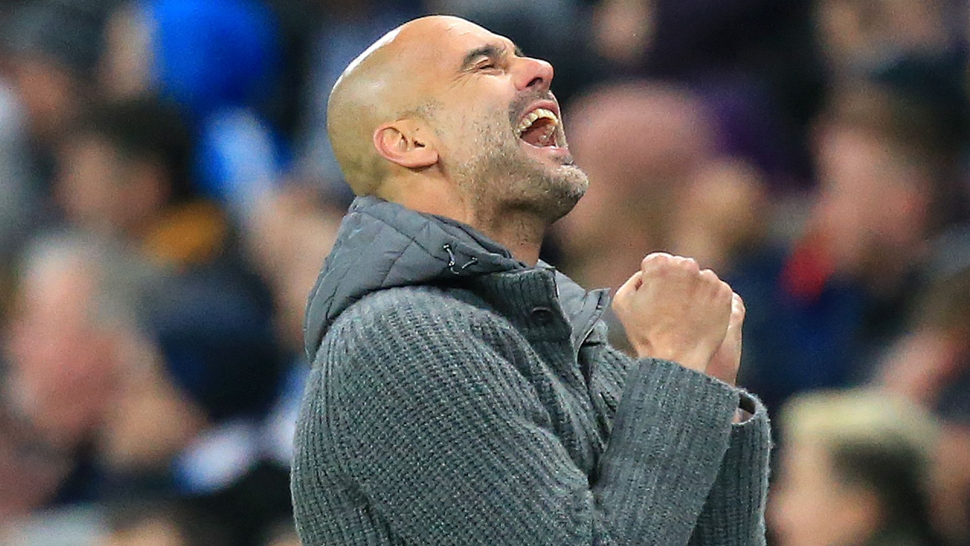 Pep Guardiola Manchester City 2018-19