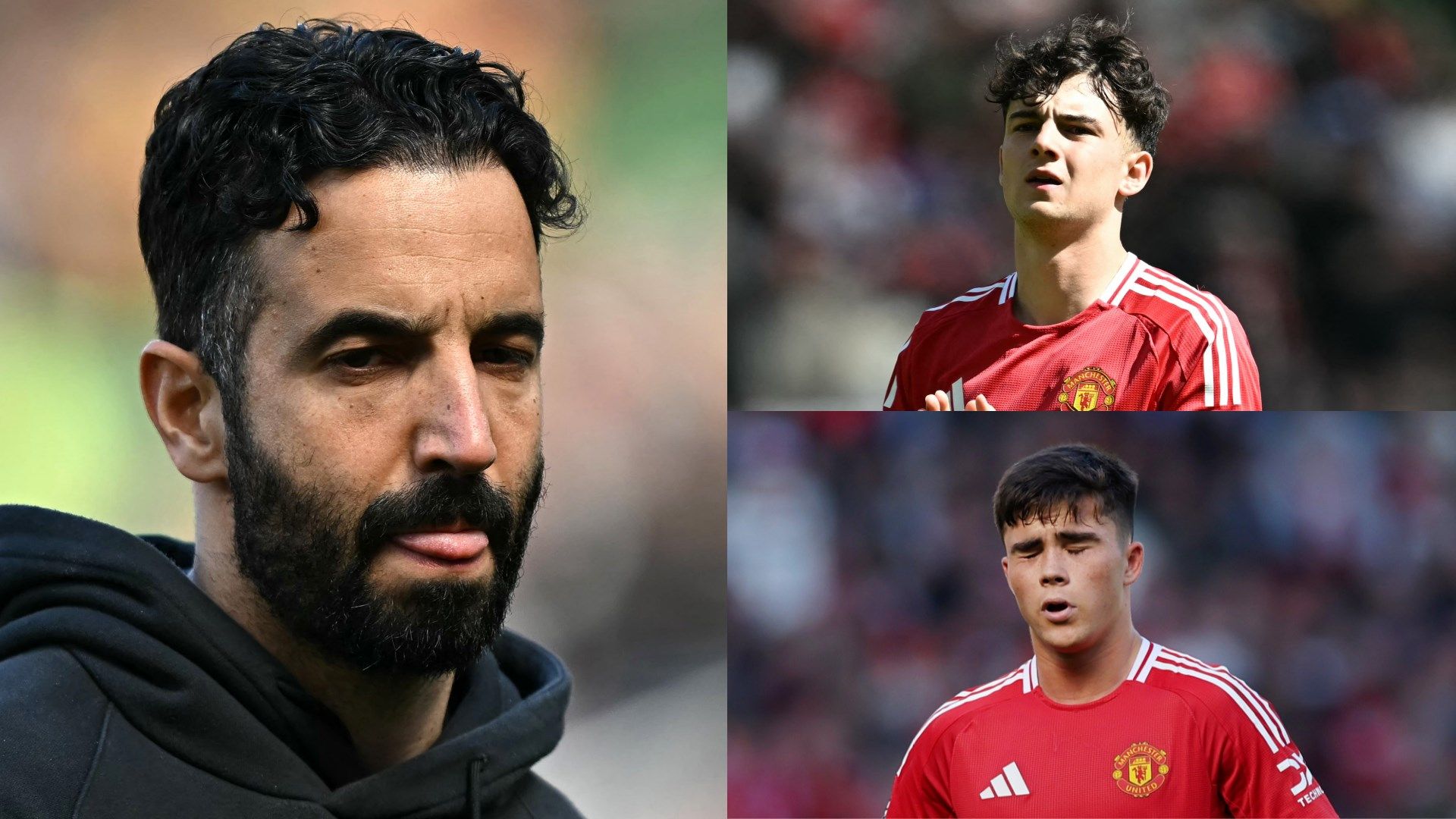 Amorim Amass Fredricson