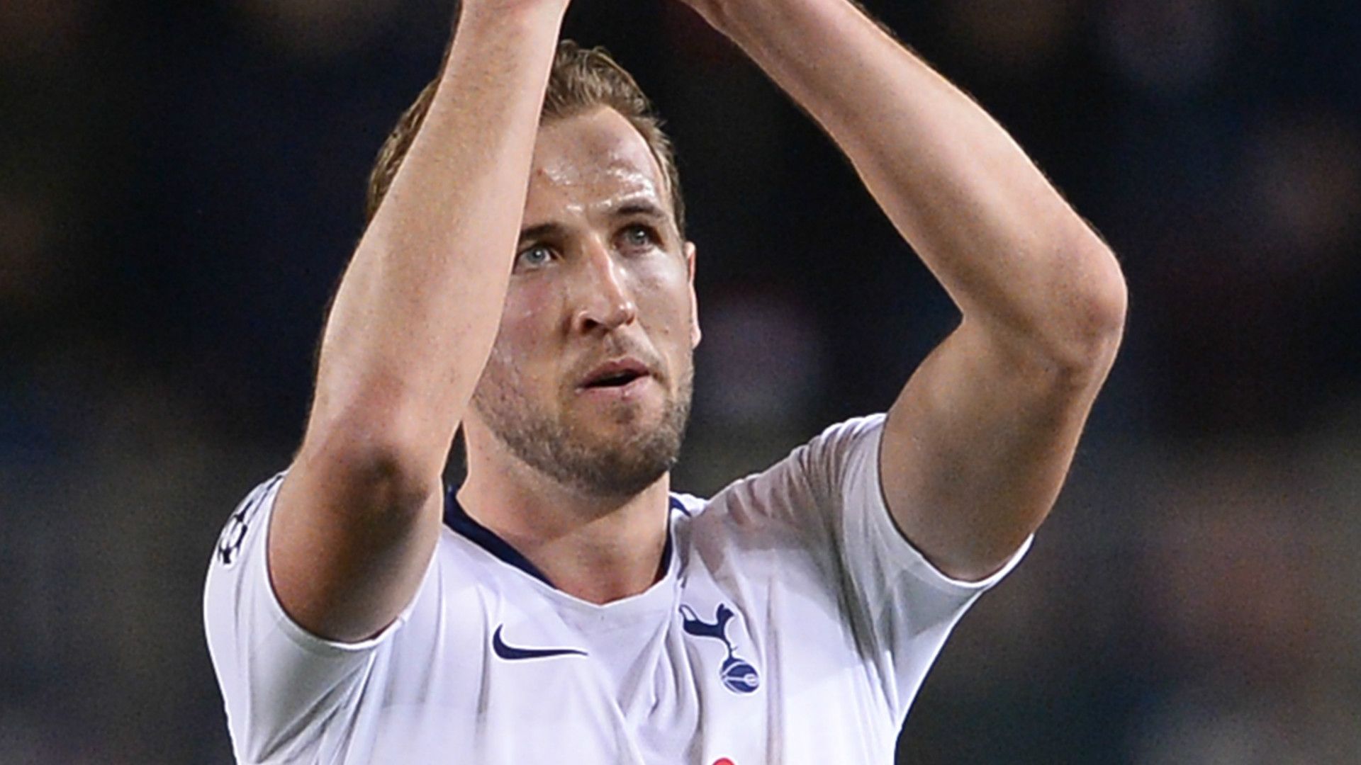 Harry Kane Tottenham 2018-19