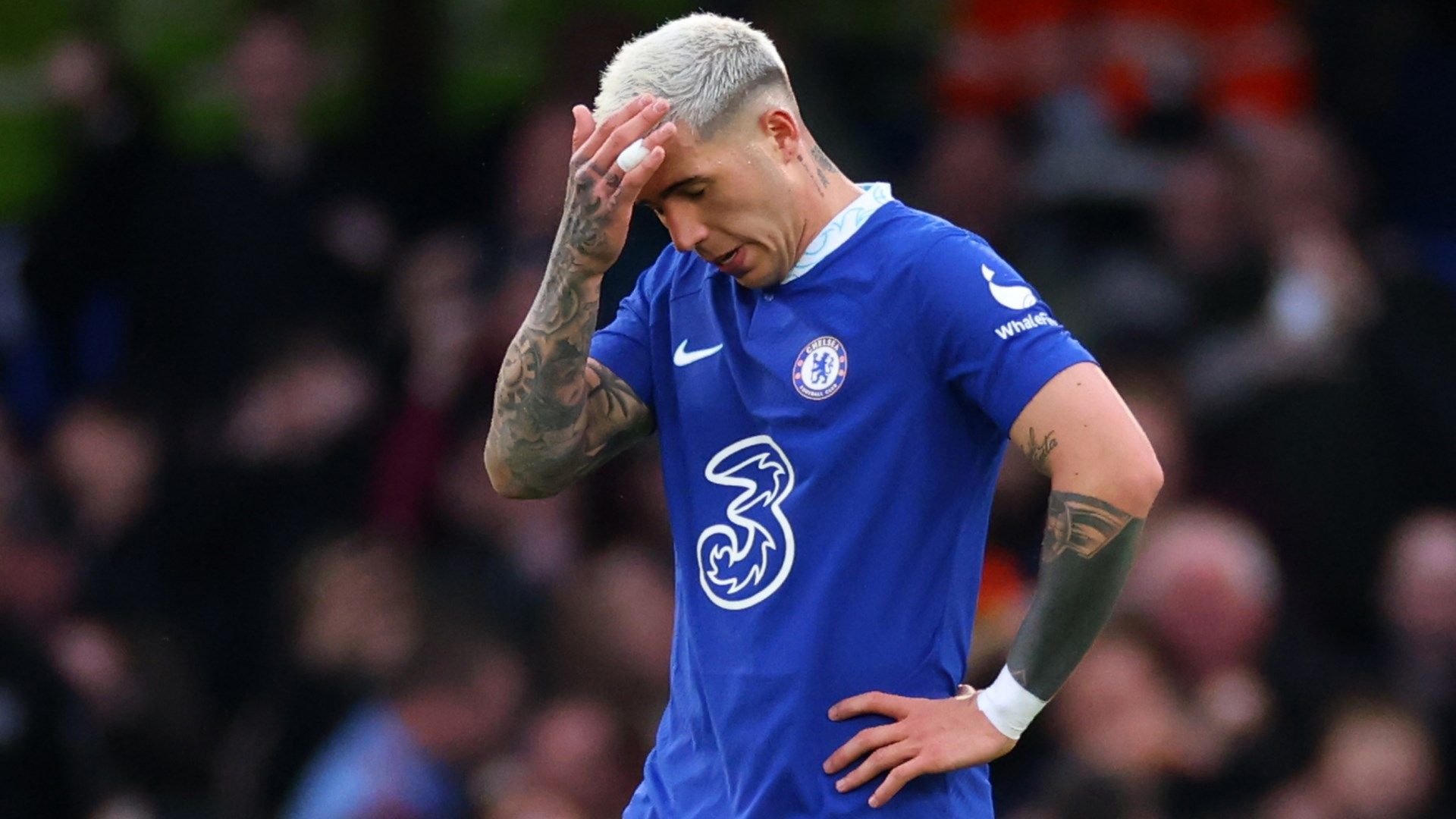 Enzo Fernandez Chelsea 2022-23