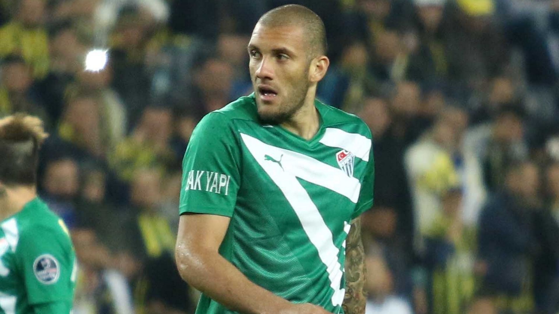 Fernandao Bursaspor
