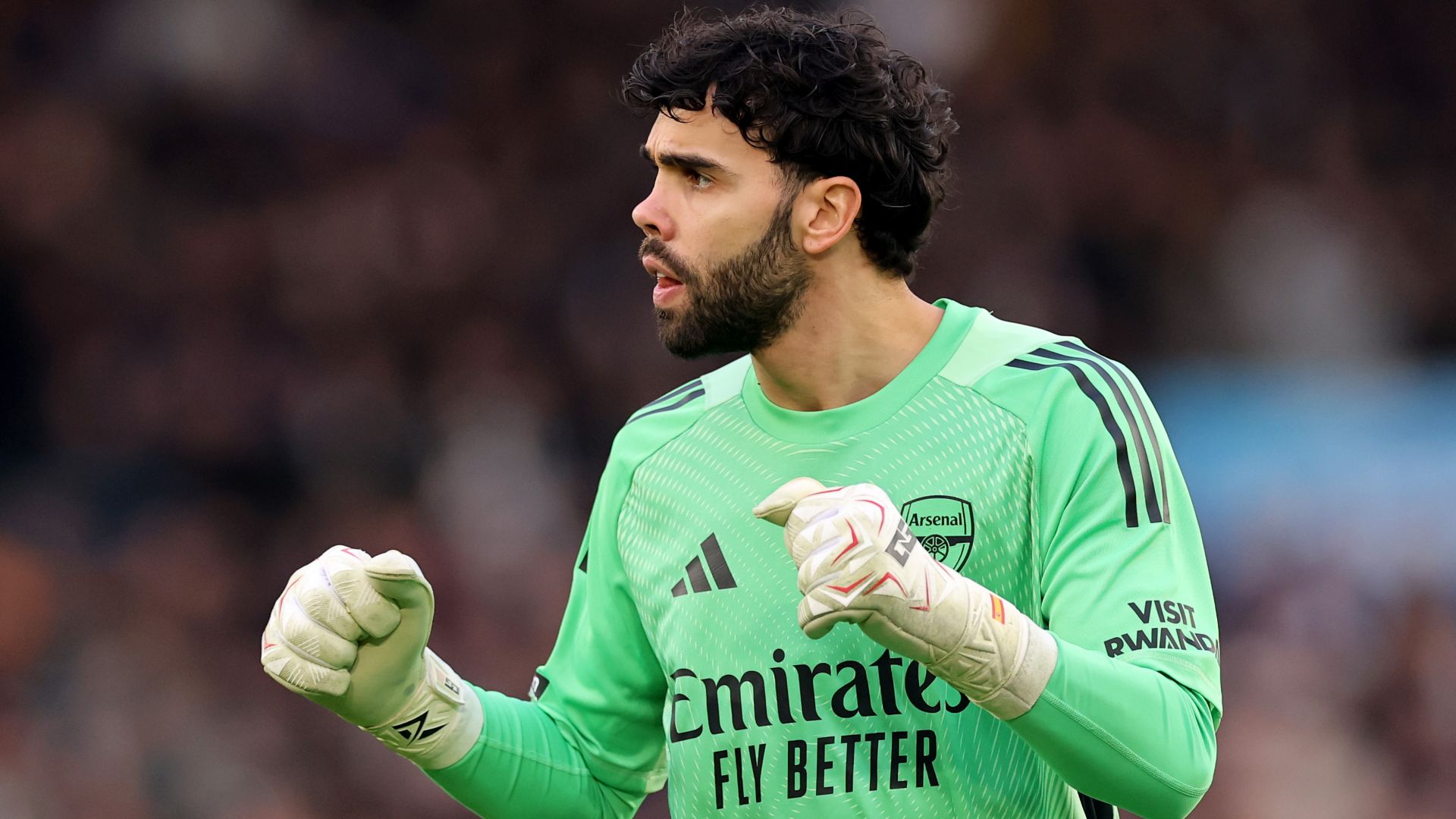 David Raya Arsenal 2025-26