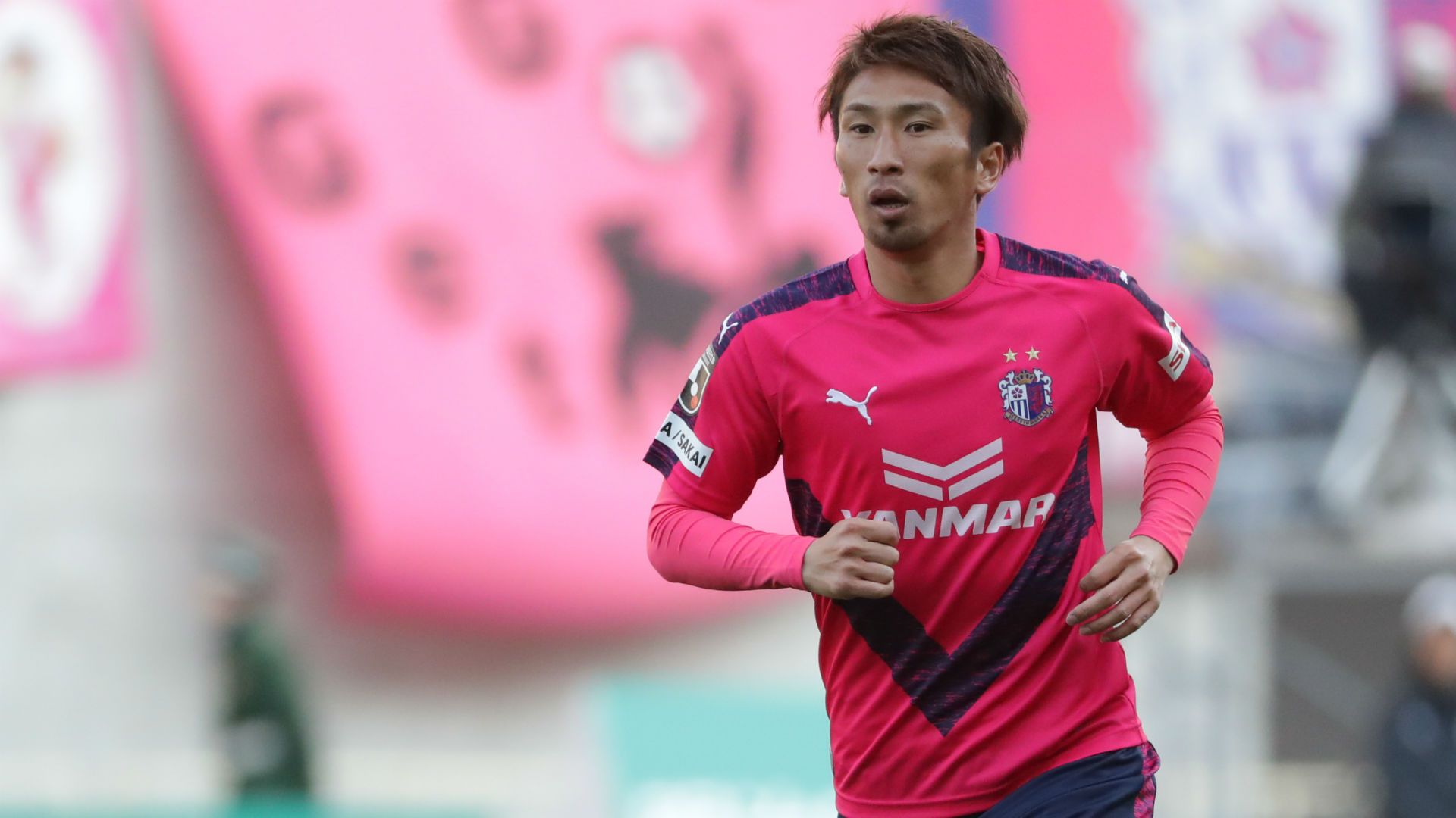 cerezo03.jpg