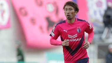 cerezo03.jpg