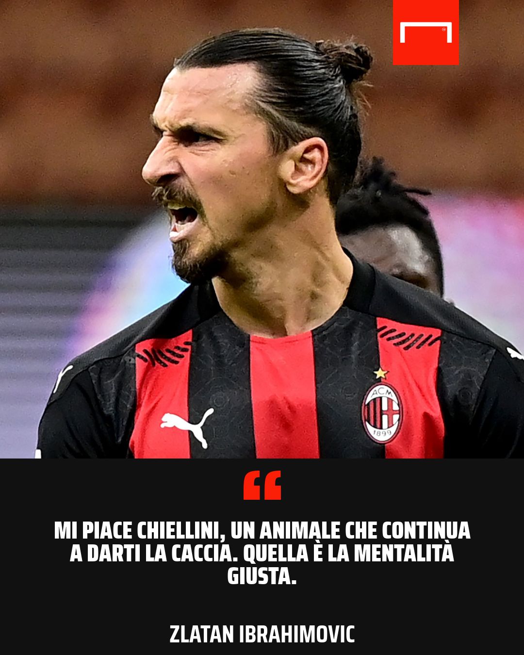 PS Ibrahimovic