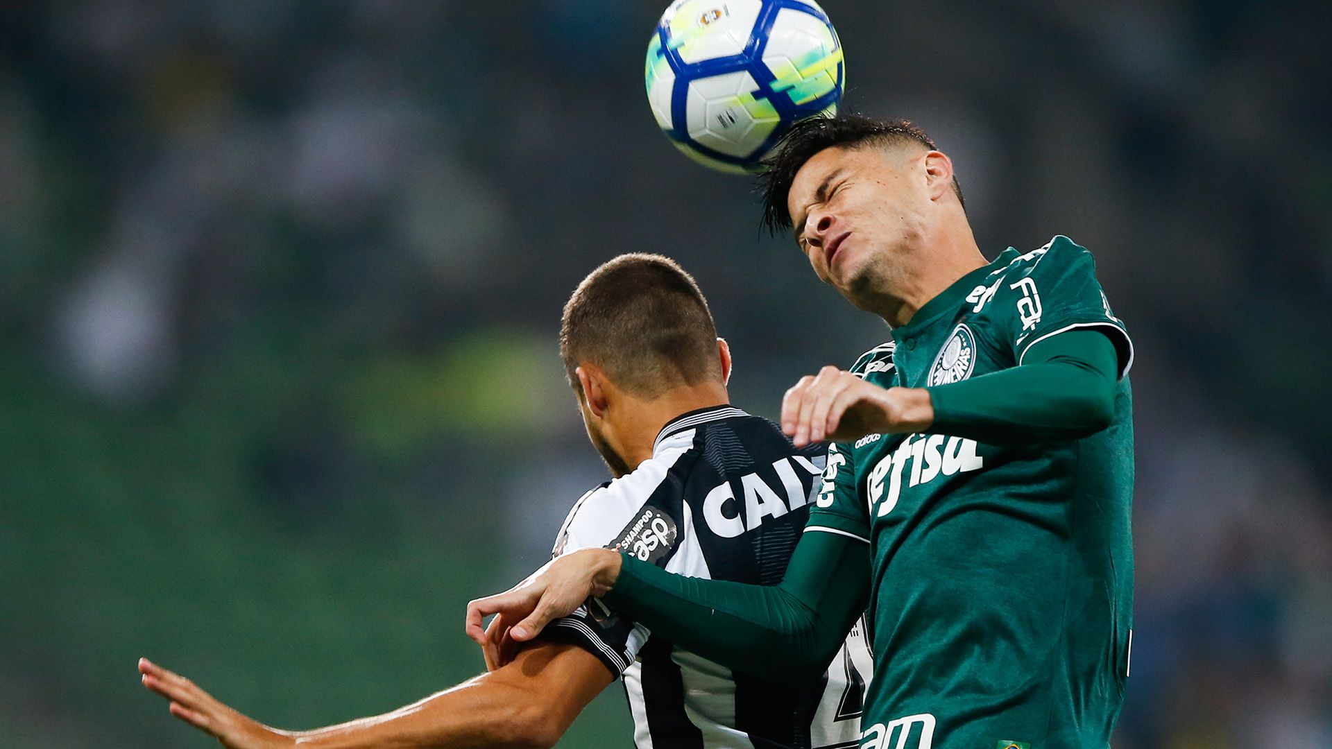 Diogo Barbosa Marcinho Palmeiras Botafogo Brasileirao Serie A 22082018