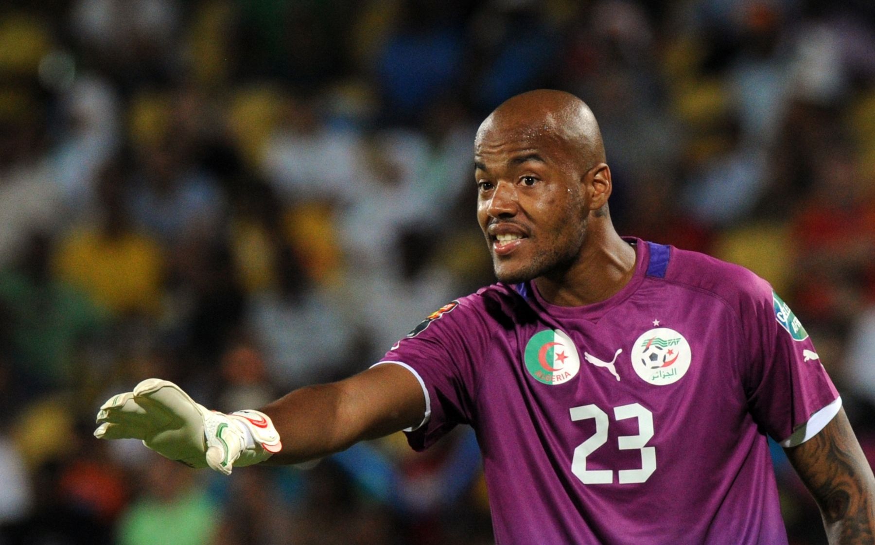 Algeria goalkeeper Rais Mbolhi reacts