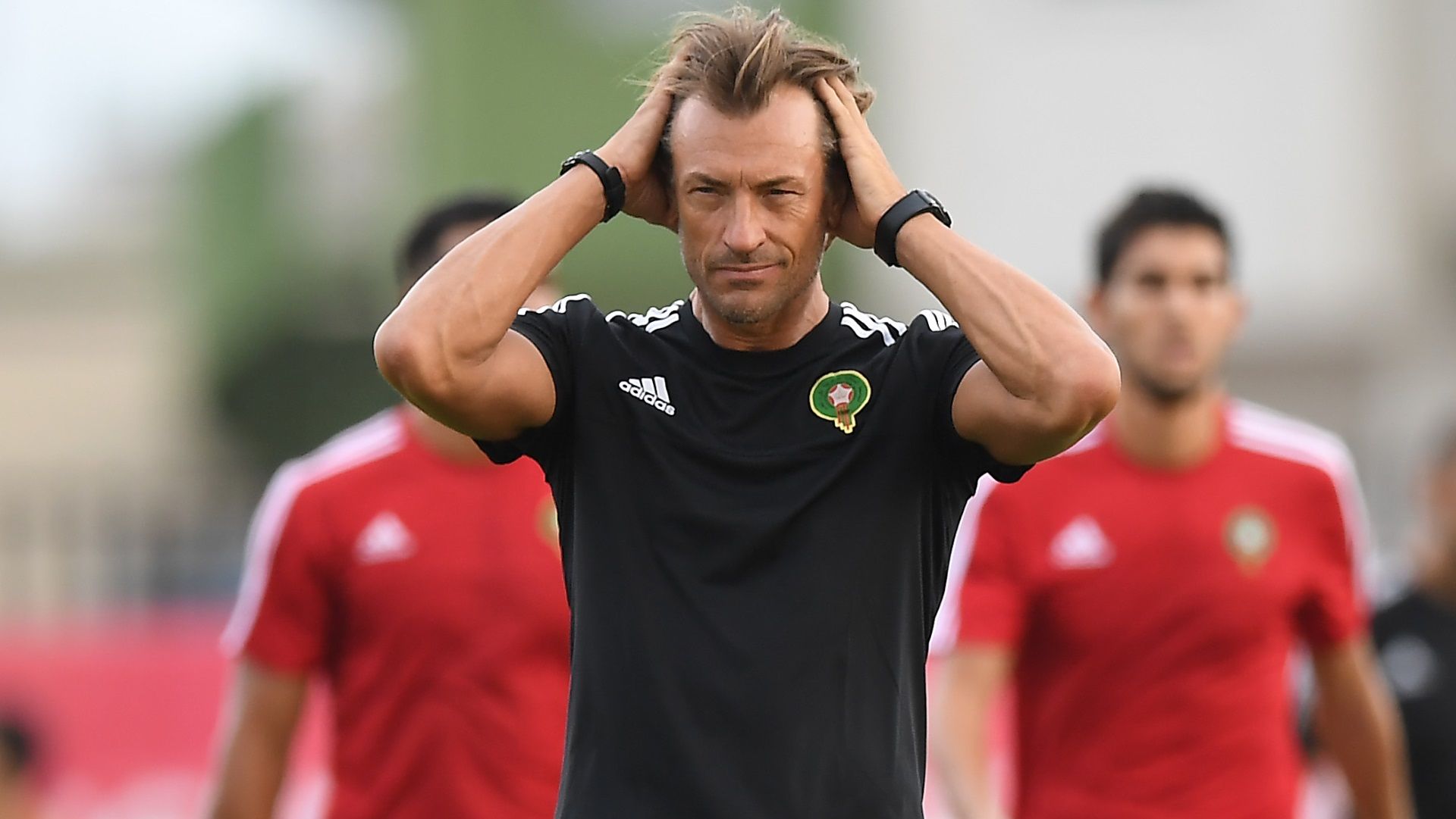 Herve Renard of Morocco