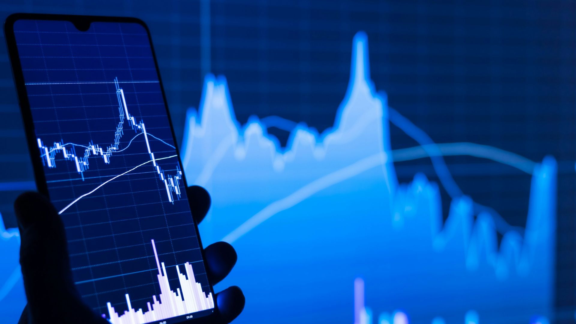Copy trading for beginners