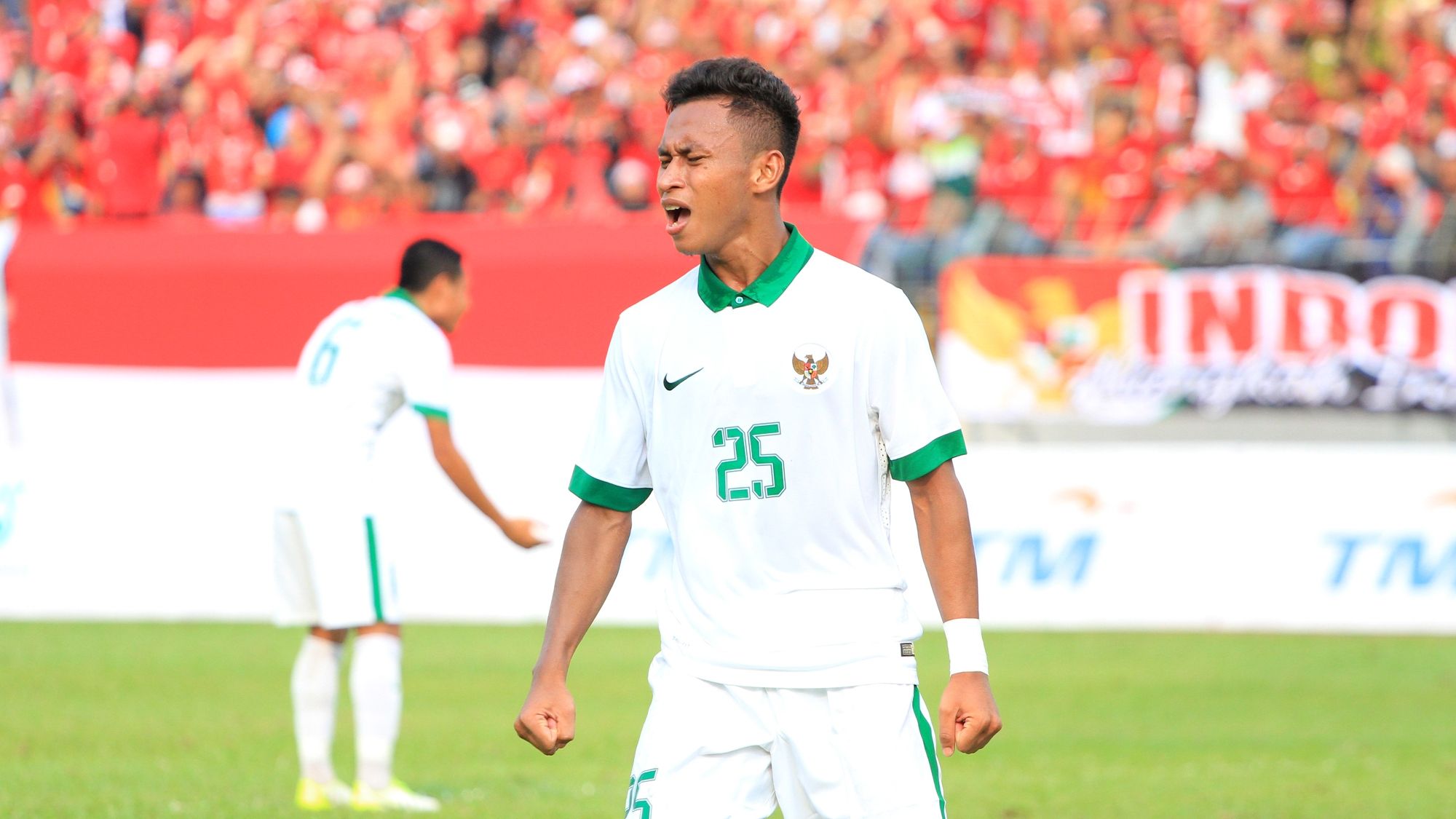 Osvaldo Haay - Indonesia