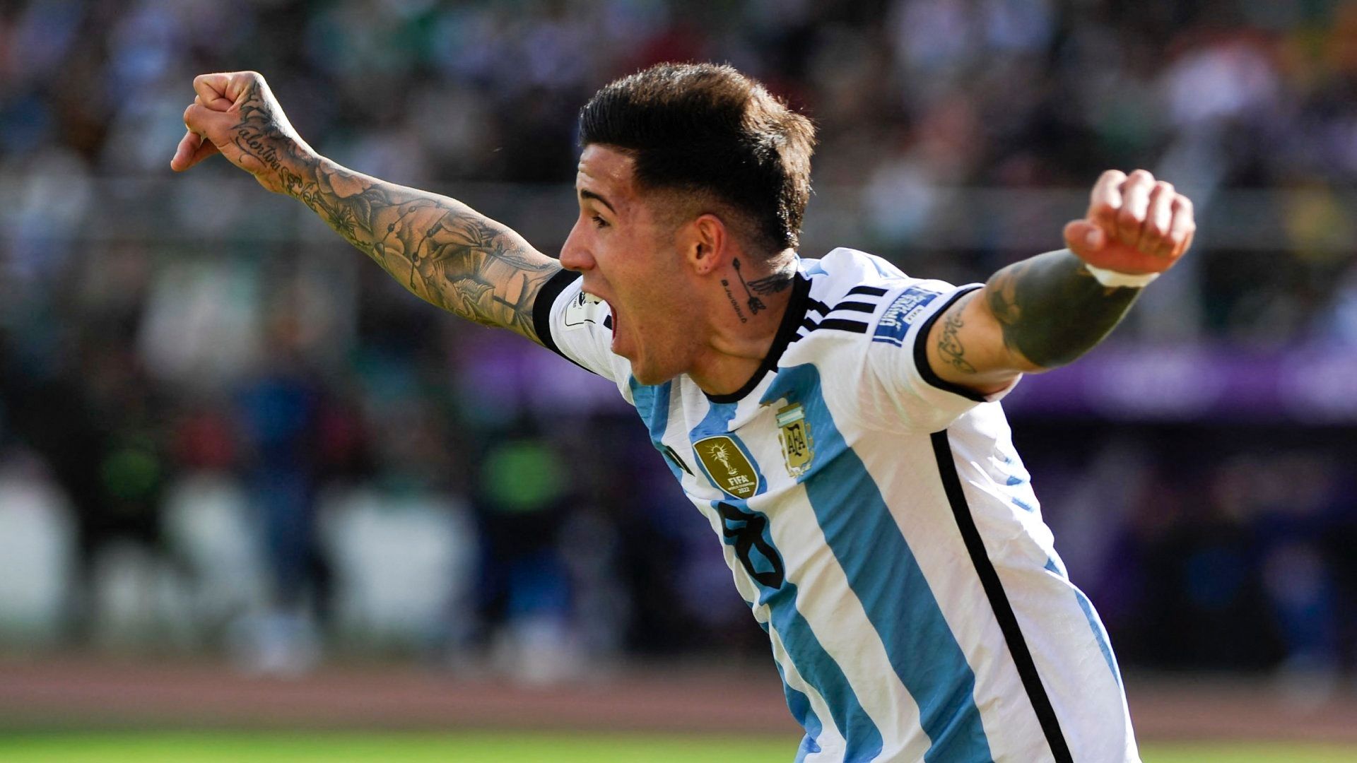 Enzo Fernandez Argentina 2023