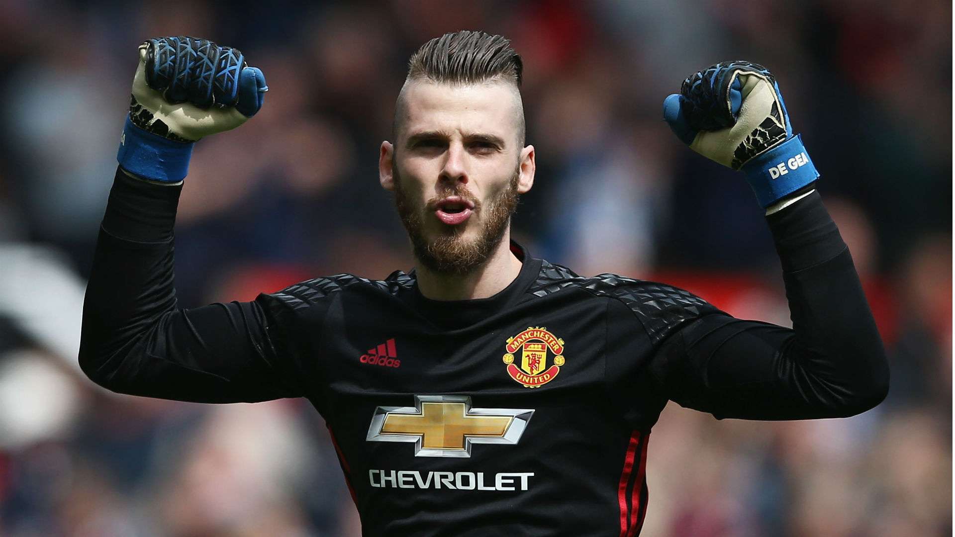 David de Gea Manchester United