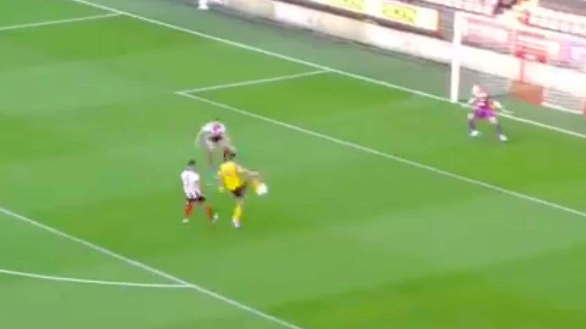 Raúl Jiménez Wolves