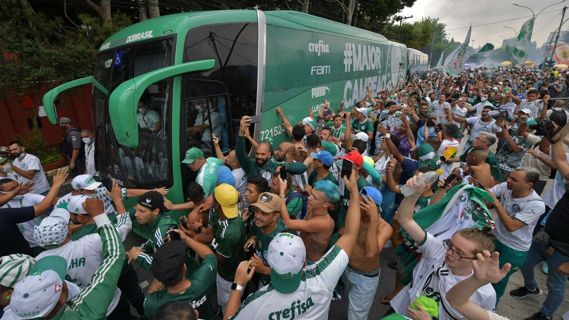 PALMEIRAS