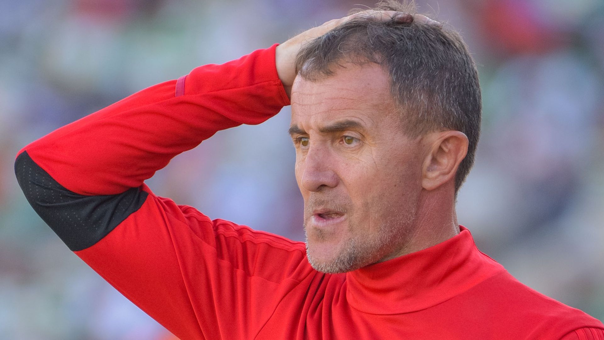 Milutin Sredojevic, Orlando Pirates