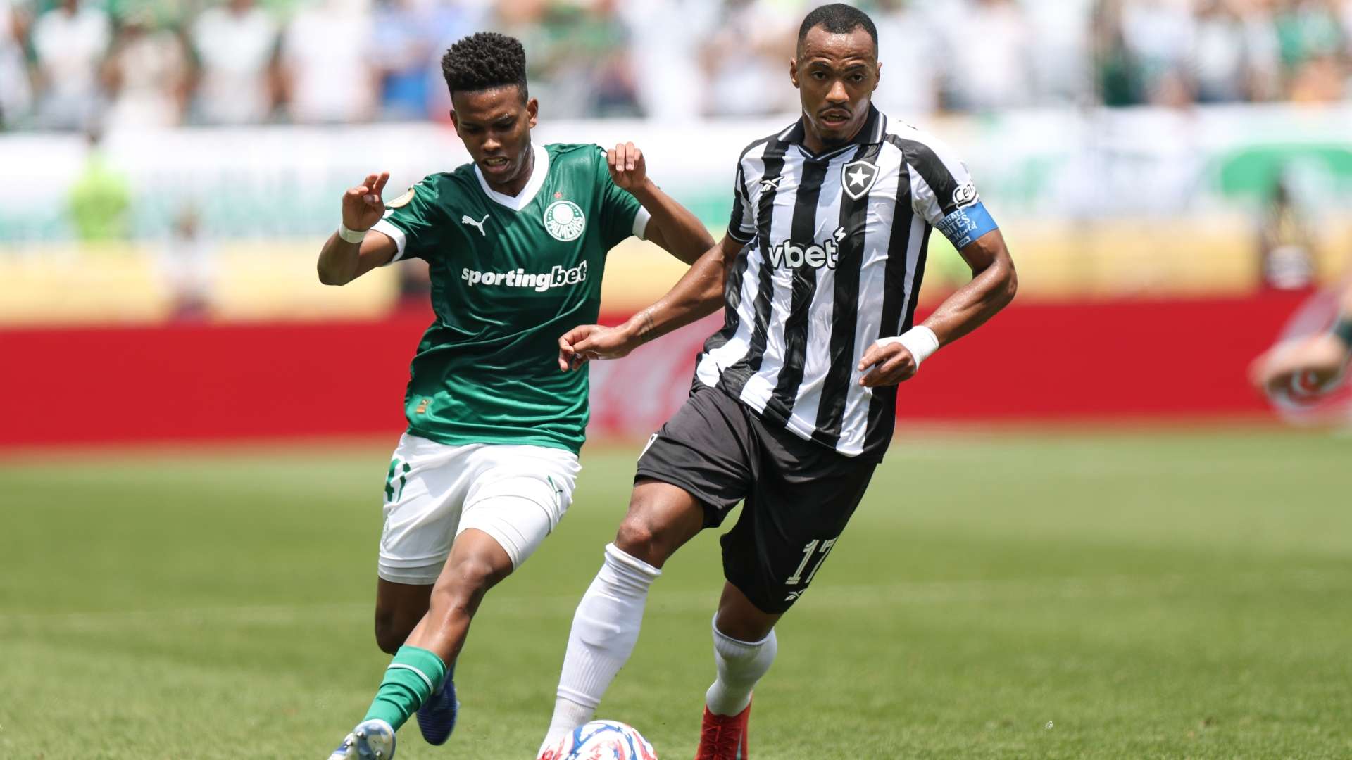 Estevao Marlon Freitas Palmeiras Botafogo