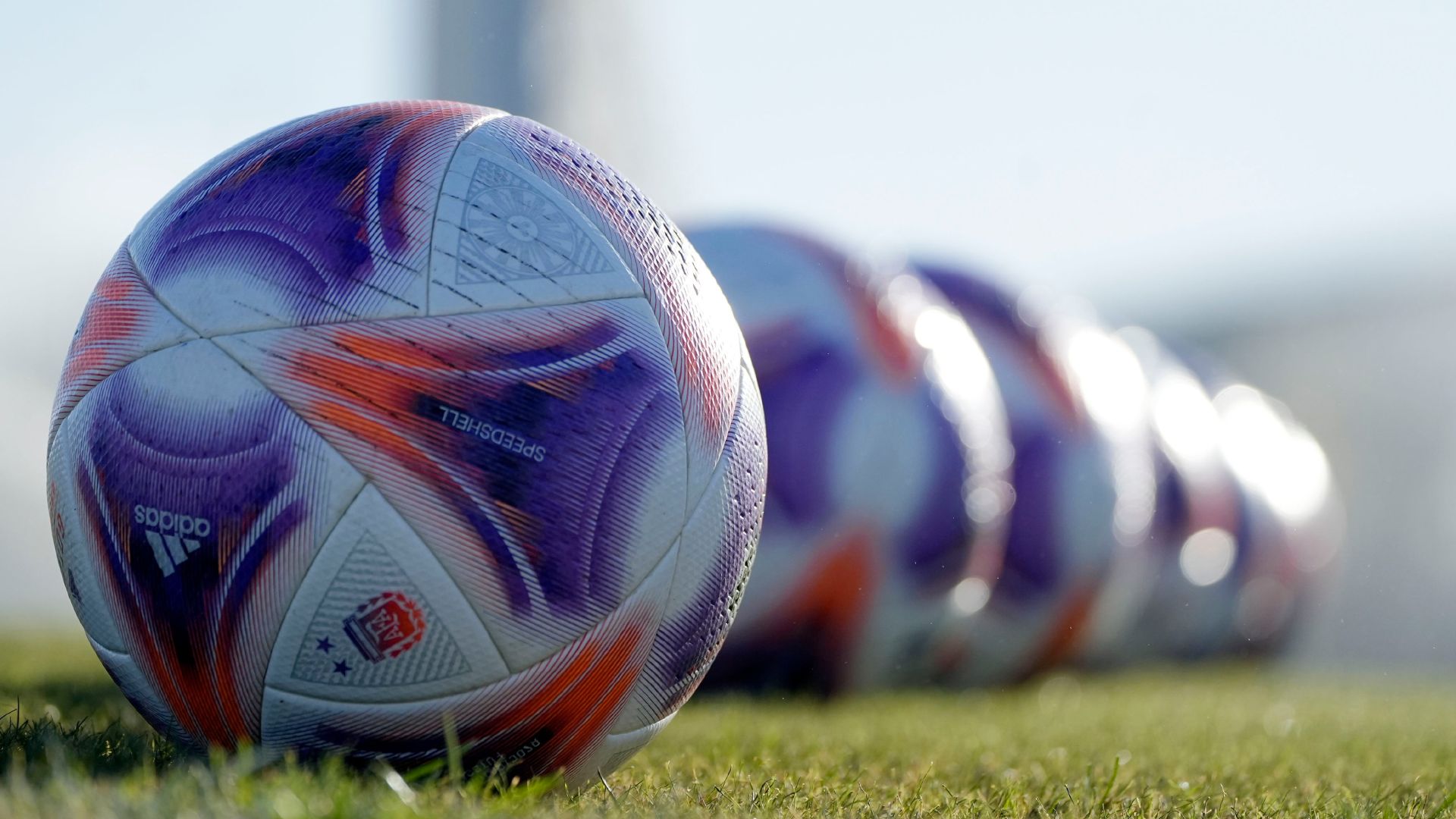 pelota torneo liga profesional argentina 2023