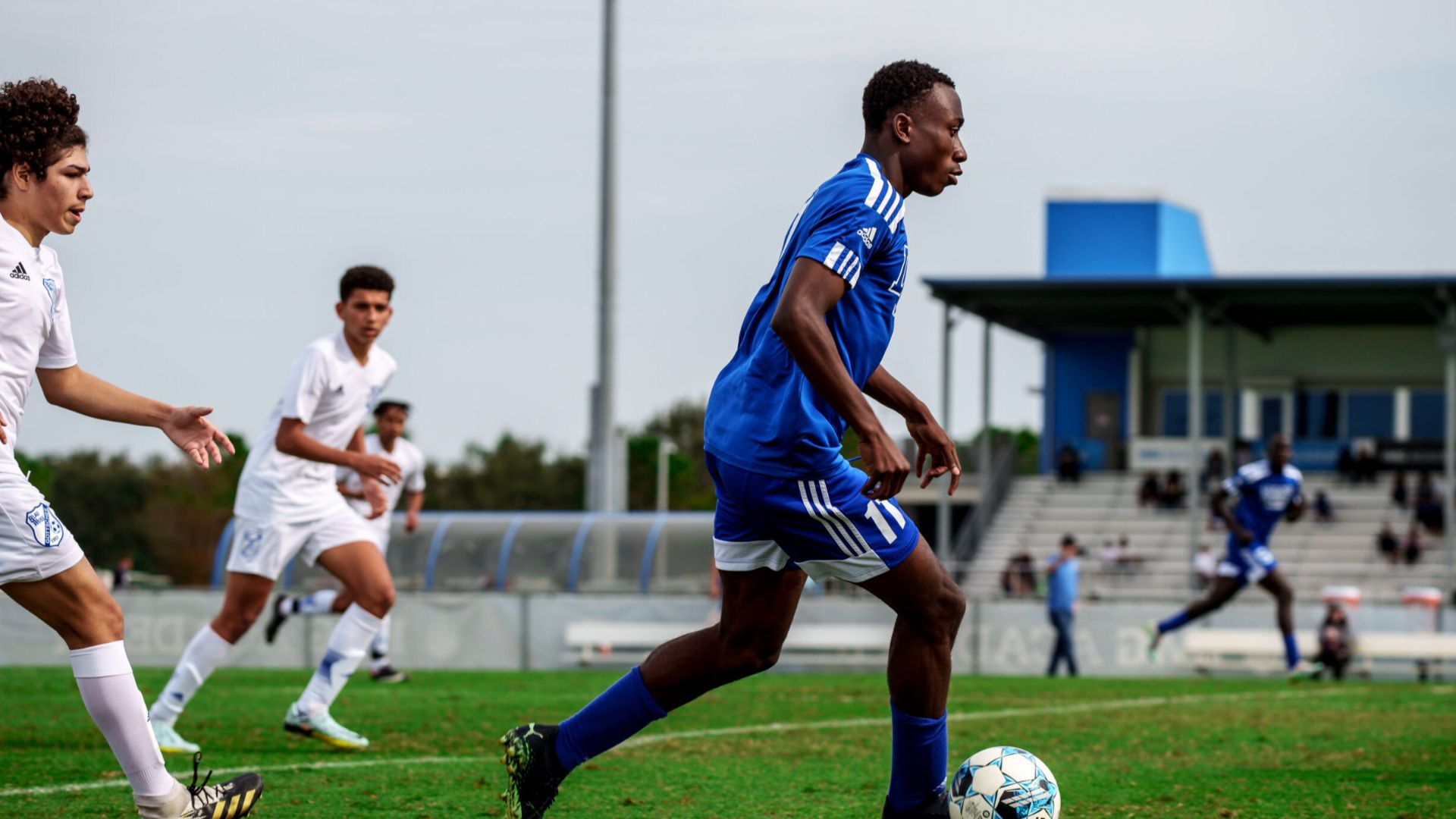 Yan Diomande DME Academy