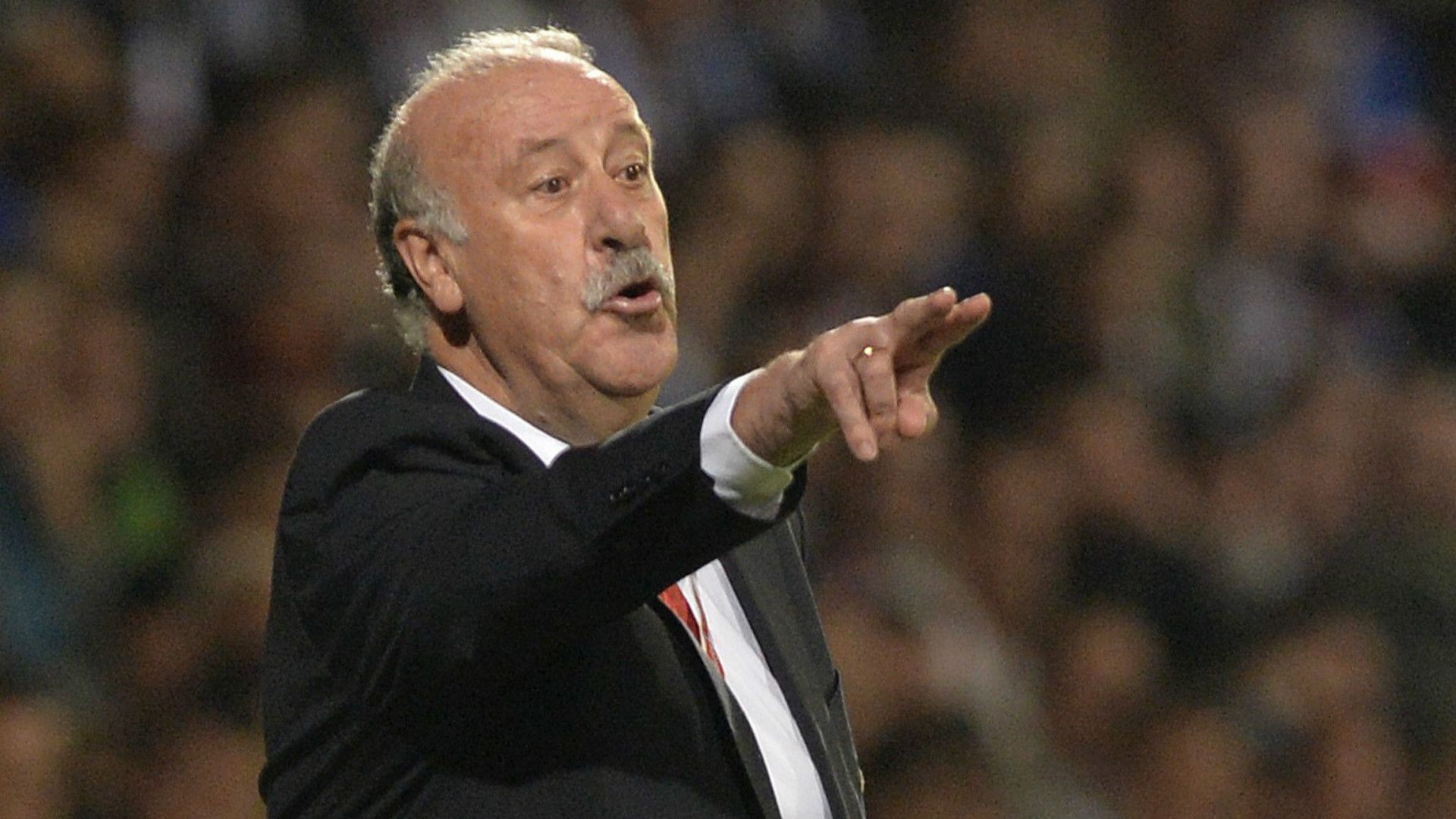 Vicente del Bosque Slovakia Spain Euro 2016 Qualifier