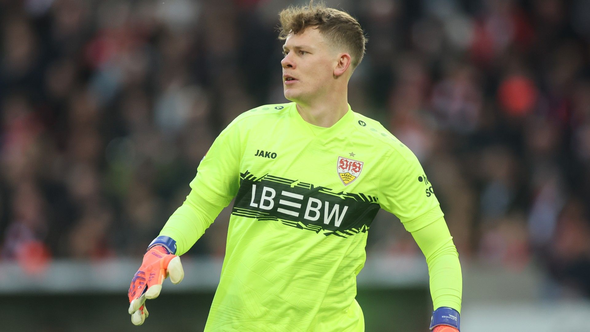 ALEXANDER NÜBEL STUTTGART