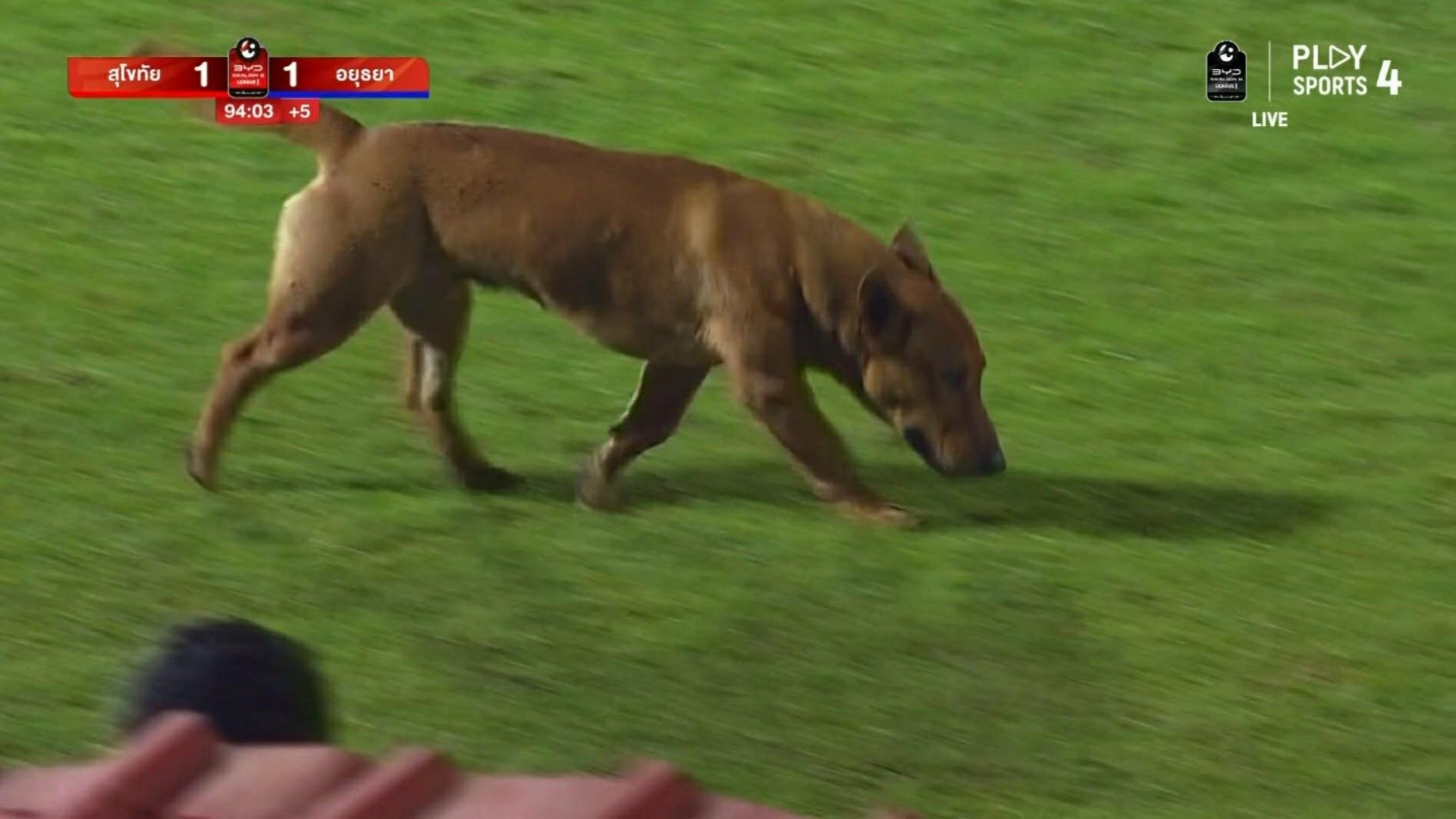 สุโขทัย เอฟซี 2026