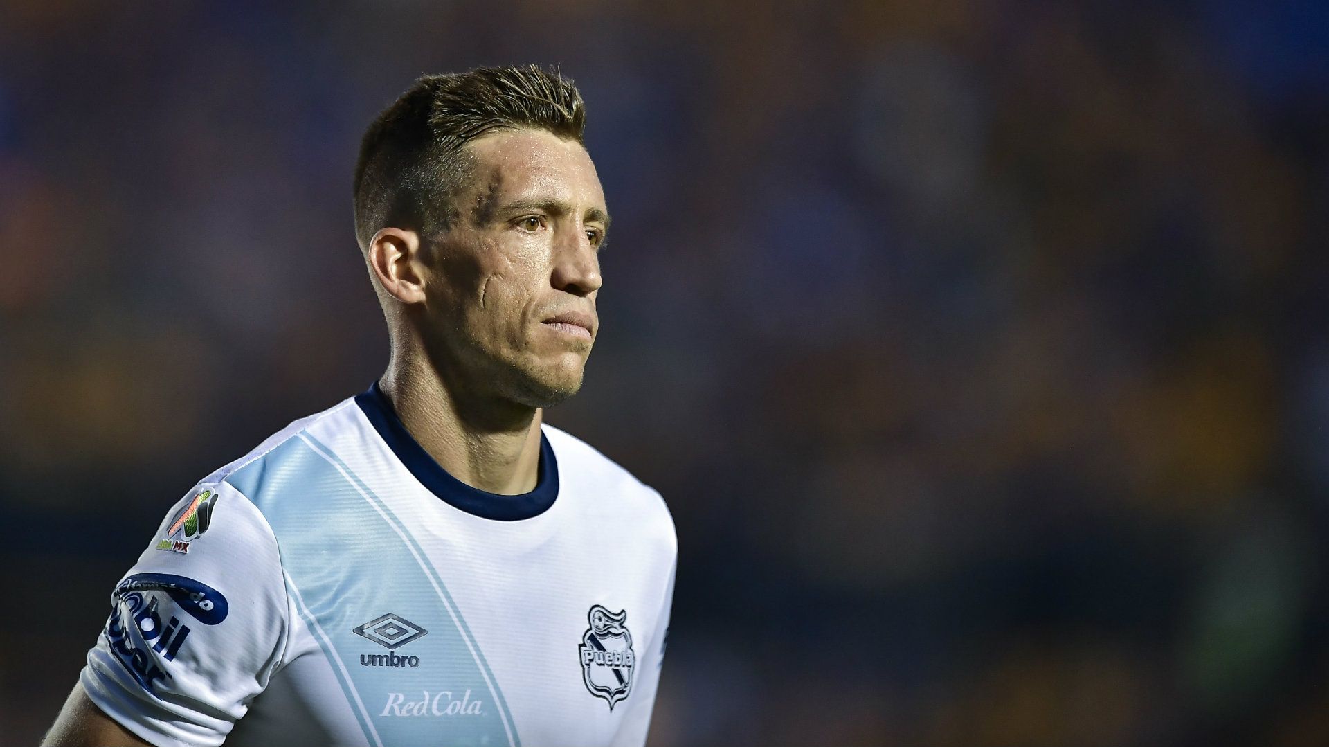 Nicolás Vikonis Puebla