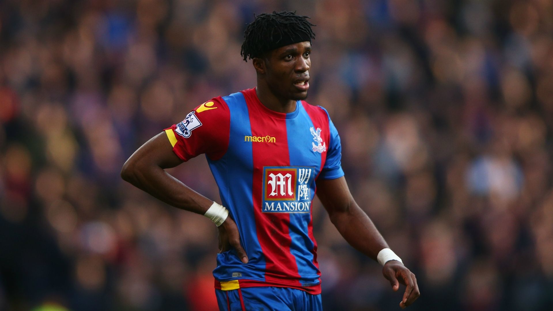 The BEST of the Premier League in January | Wilfried Zaha