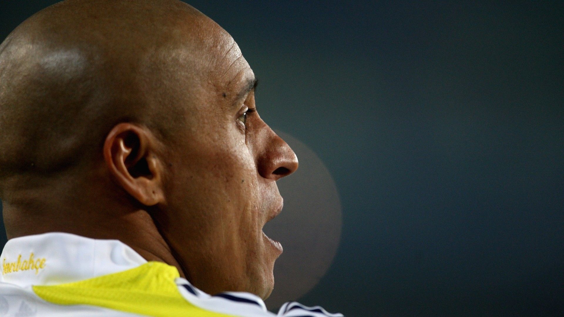 Roberto Carlos Fenerbahçe