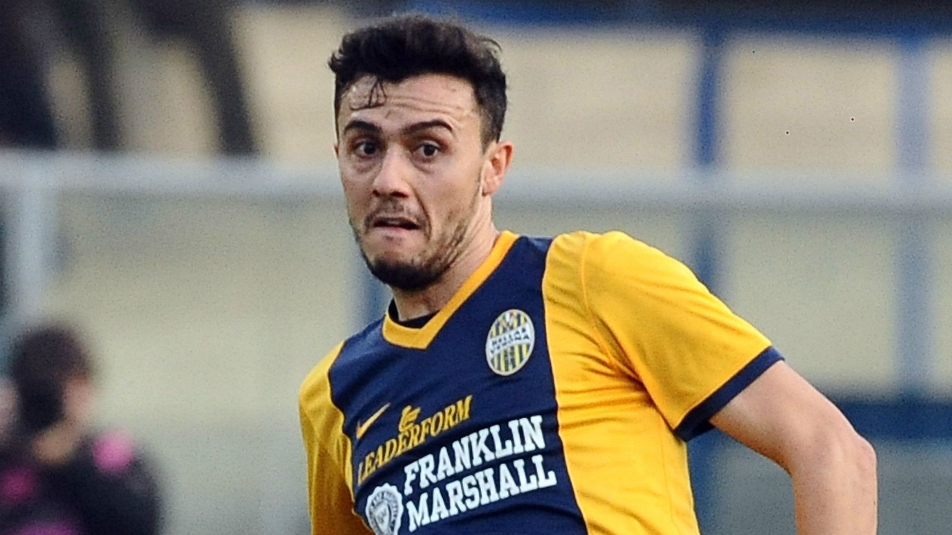 Gustavo Campanharo, Verona, Fiorentina, Serie A, 23112014