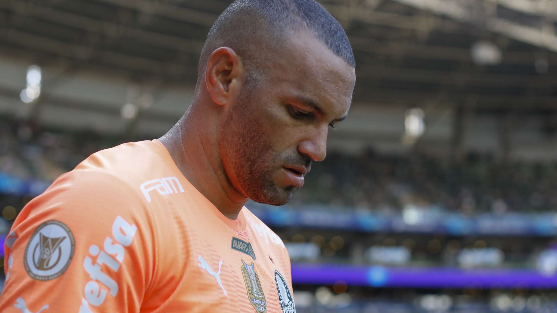 Weverton, Palmeiras 2024