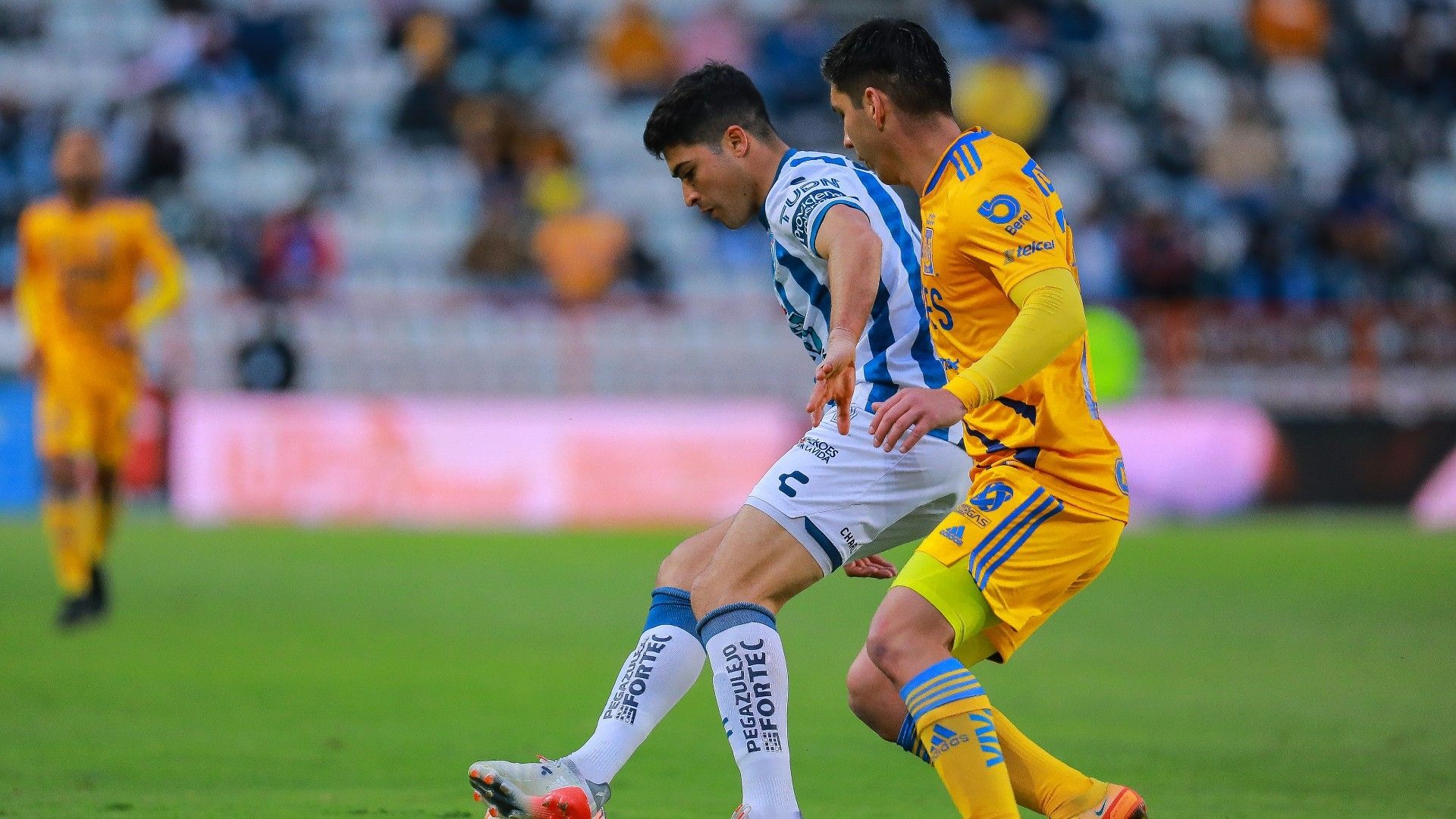 Jesús Angulo Nicolás Ibáñez Tigres Pachuca Clausura 2022