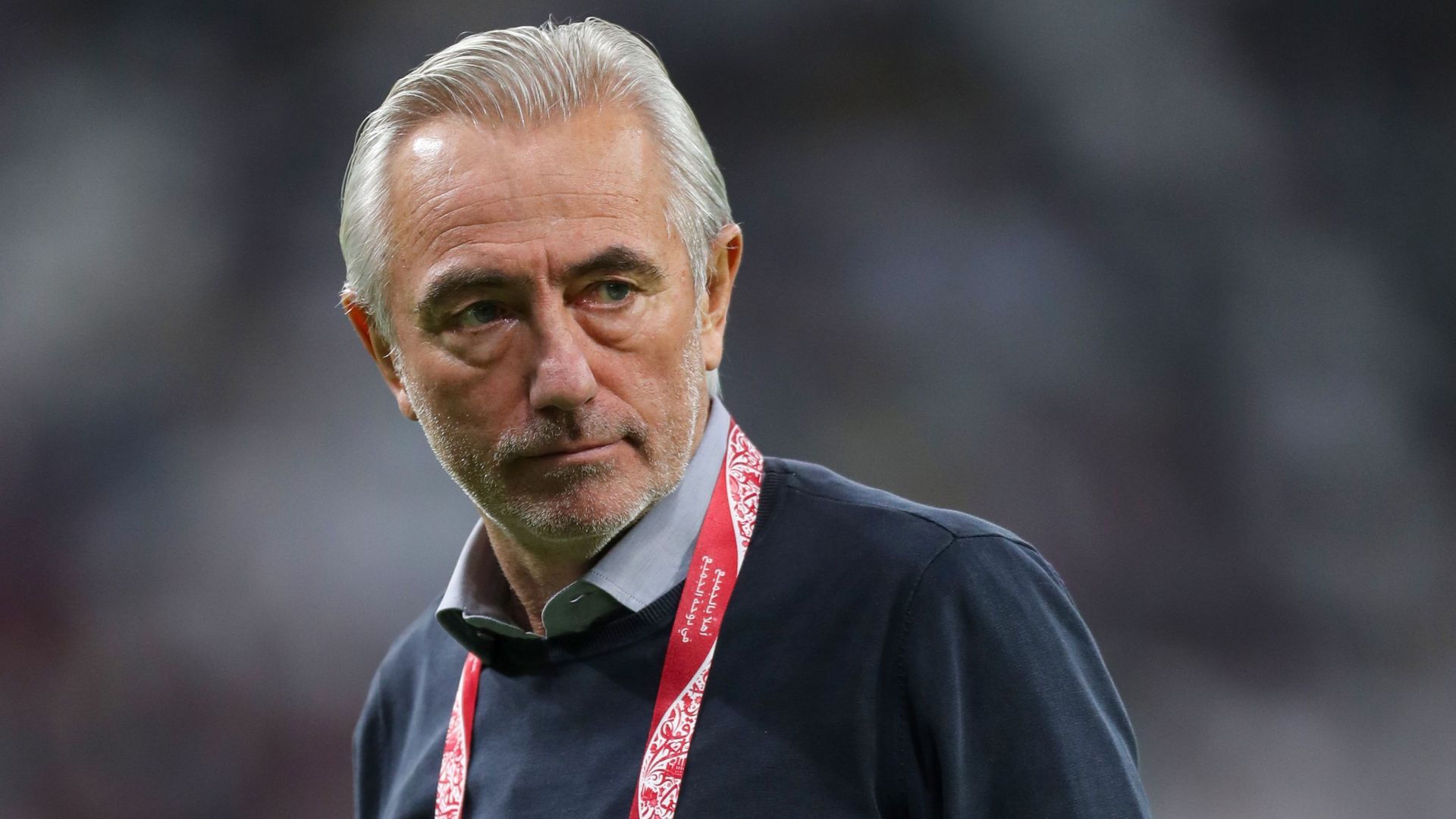 Bert van Marwijk
