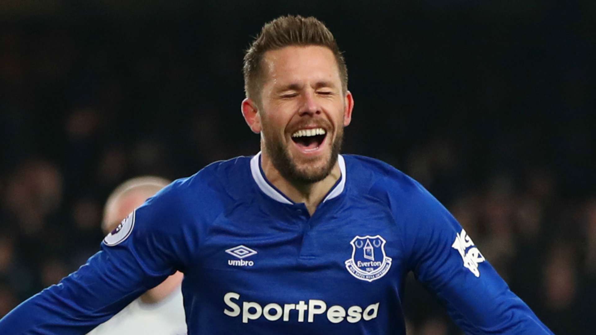 Gylfi Sigurdsson Everton 2018-19