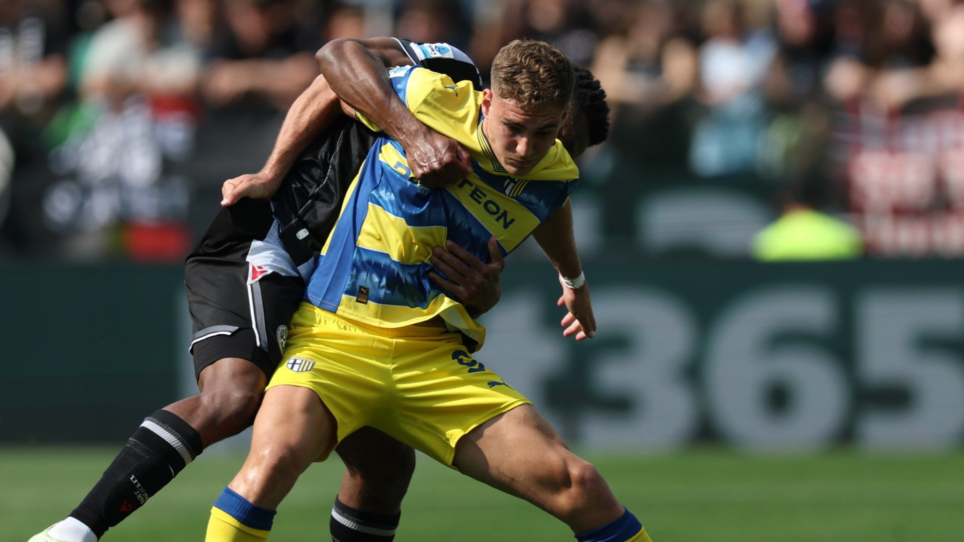 Udinese Parma Pellegrino