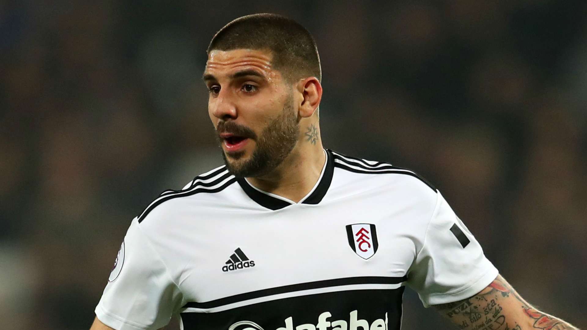 Aleksandar Mitrovic Fulham 2018-19